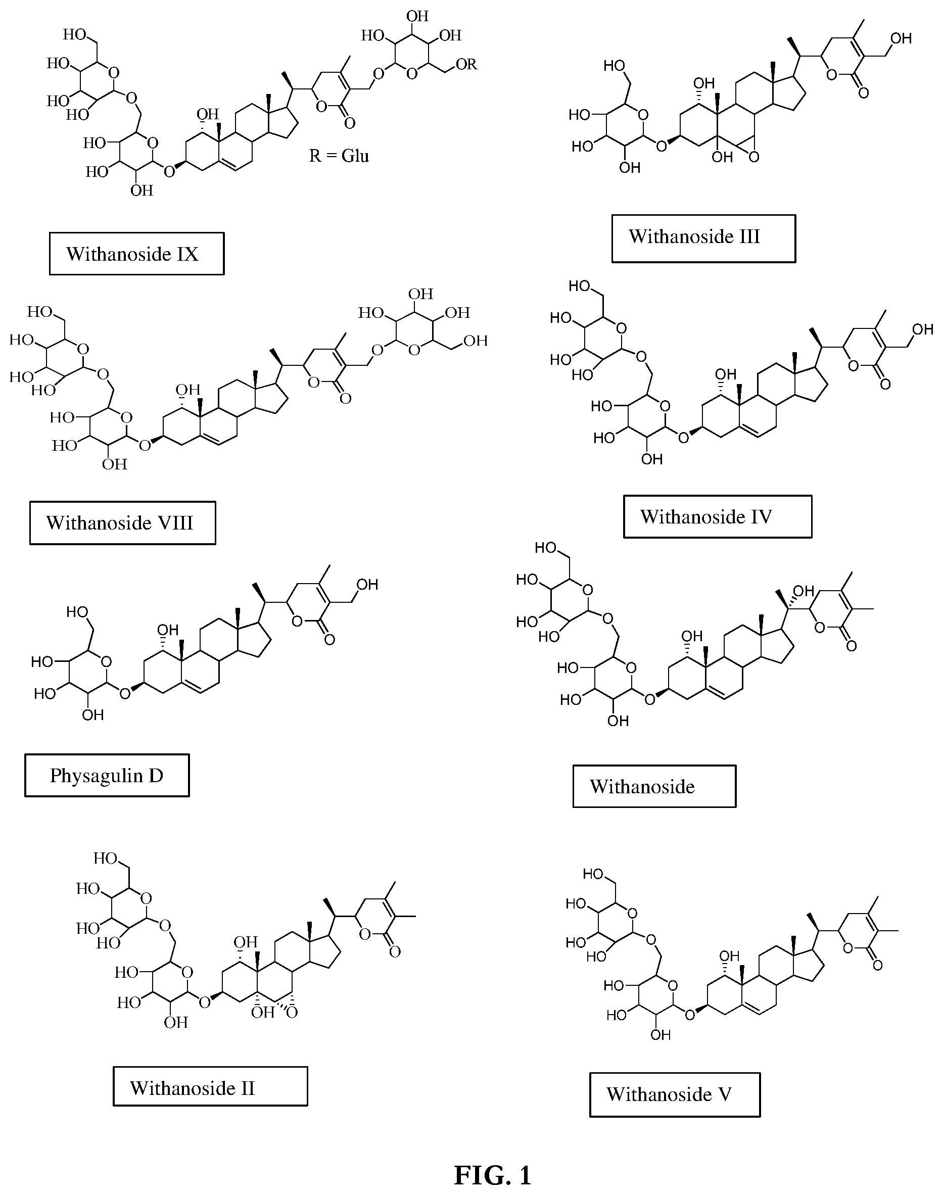 Patent US12097236 — Withania somnifera composition, method of preparation and use thereof — Figure 1