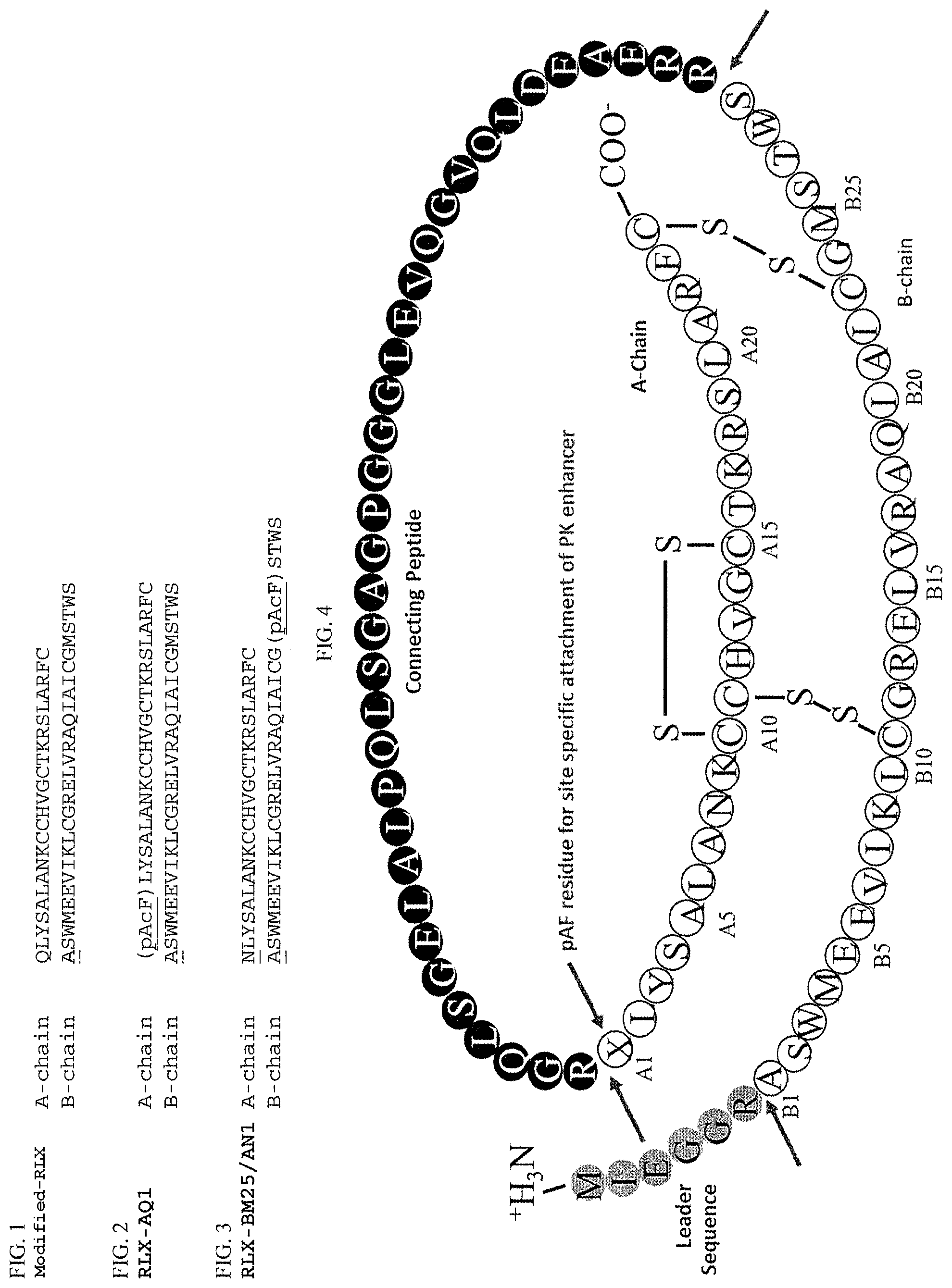 Patent US12097242 — Treatment of fibrosis, cardiovascular disease and heart failure with modified relaxin polypeptides — Figure 1