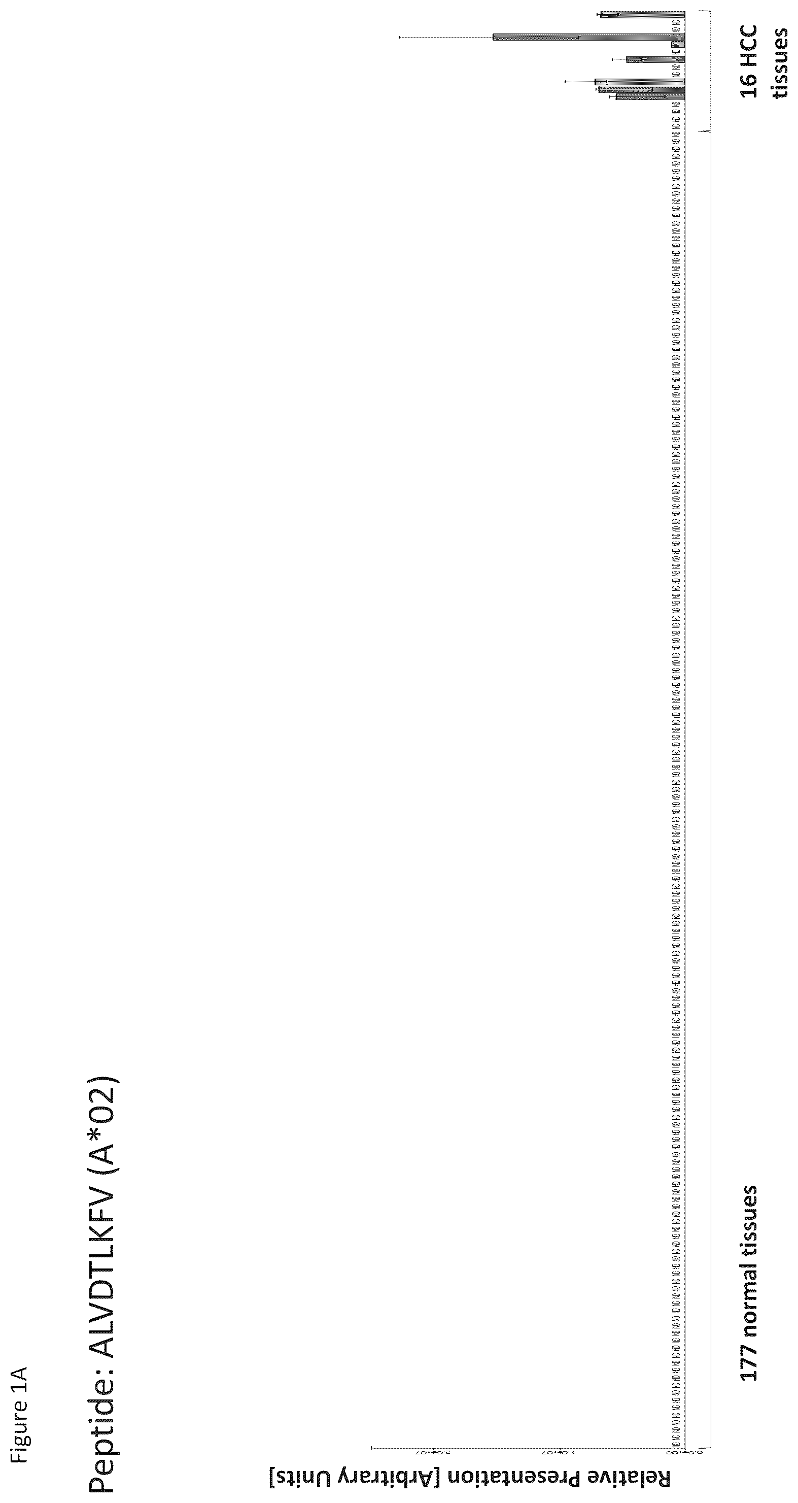 Patent US12097248 — Peptides and combination of peptides for use in immunotherapy against hepatocellular carcinoma (HCC) and other cancers — Figure 1