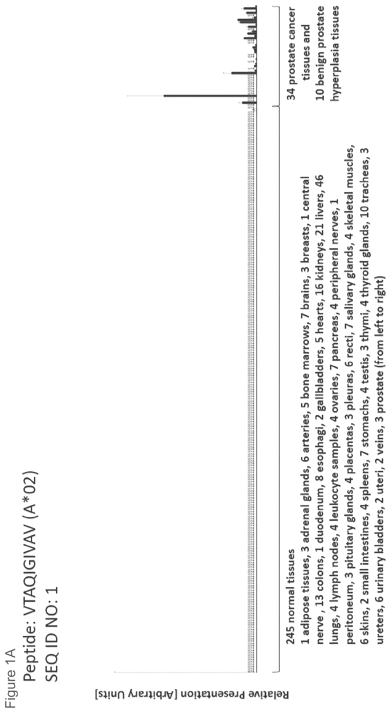 Patent US12097249 — Peptides and combination of peptides for use in immunotherapy against prostate cancer and other cancers — Figure 1