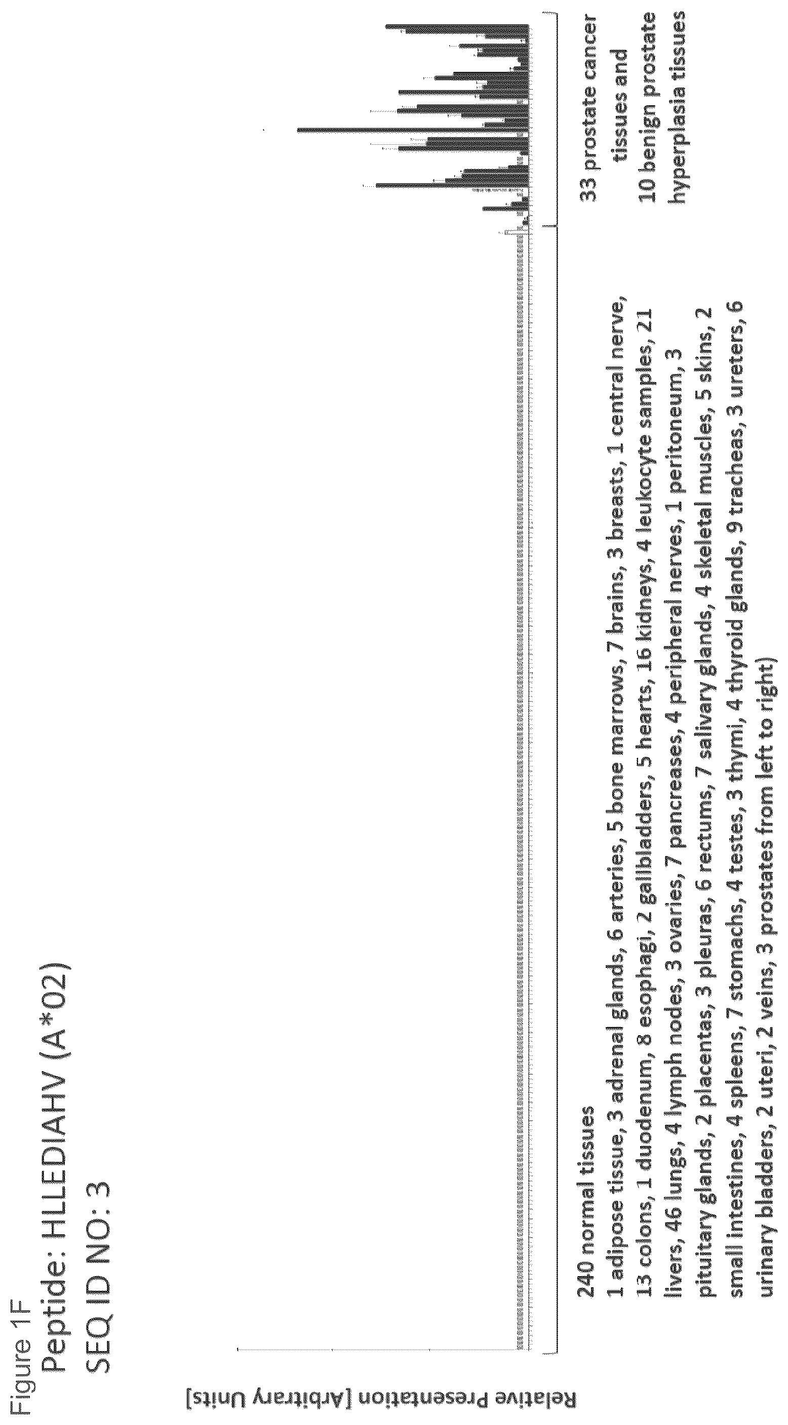 Patent US12097249 Figure 6 – Peptides and combination of peptides for use in immunotherapy against prostate cancer and other cancers