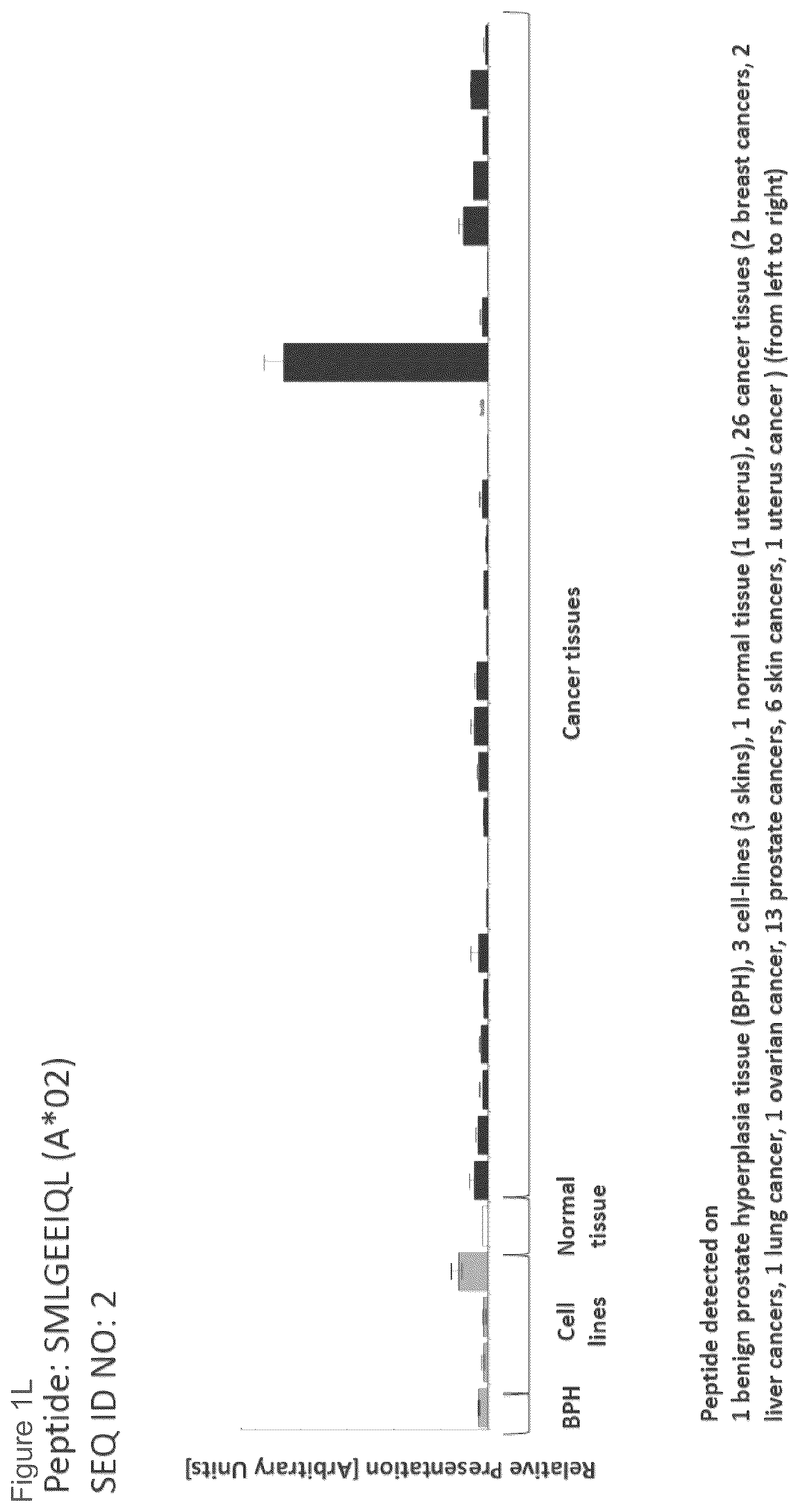Patent US12097249 Figure 12 – Peptides and combination of peptides for use in immunotherapy against prostate cancer and other cancers