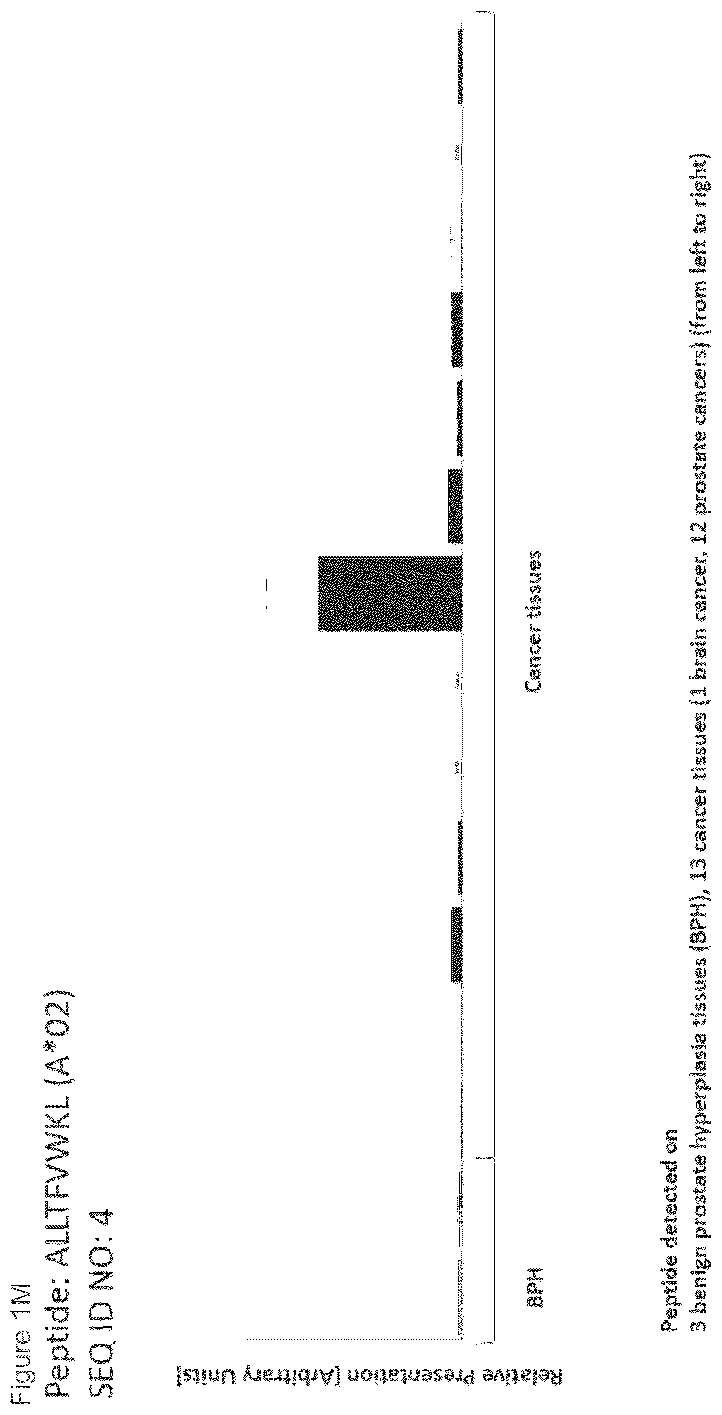 Patent US12097249 Figure 13 – Peptides and combination of peptides for use in immunotherapy against prostate cancer and other cancers