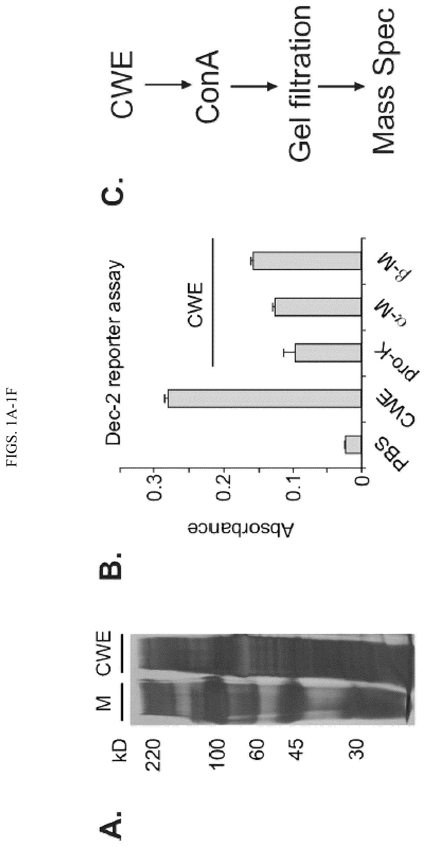 Patent US12097258 — Vaccine adjuvant — Figure 1