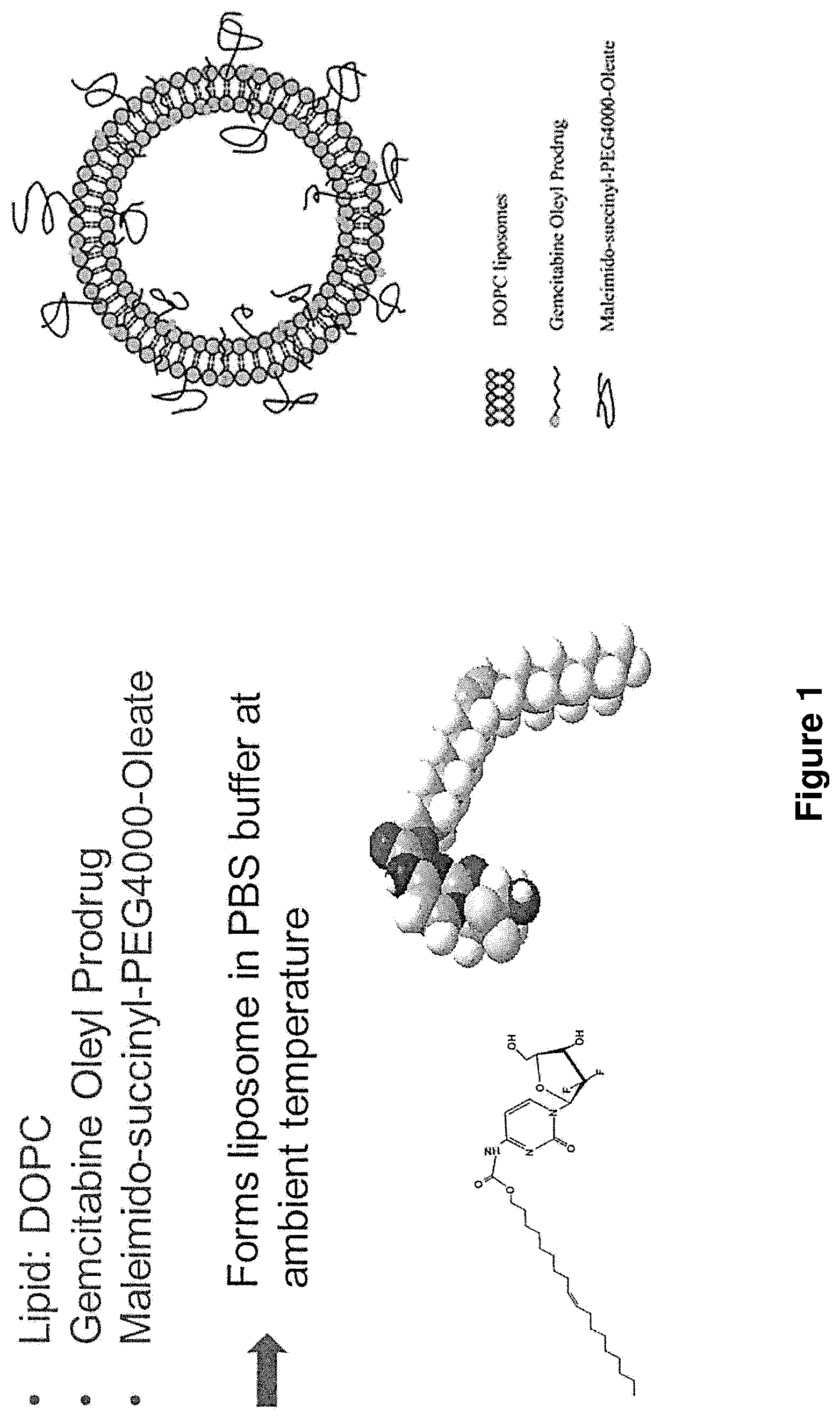 Patent US12097265 — Cytotoxic particles for targeting P2X7 receptor — Figure 1