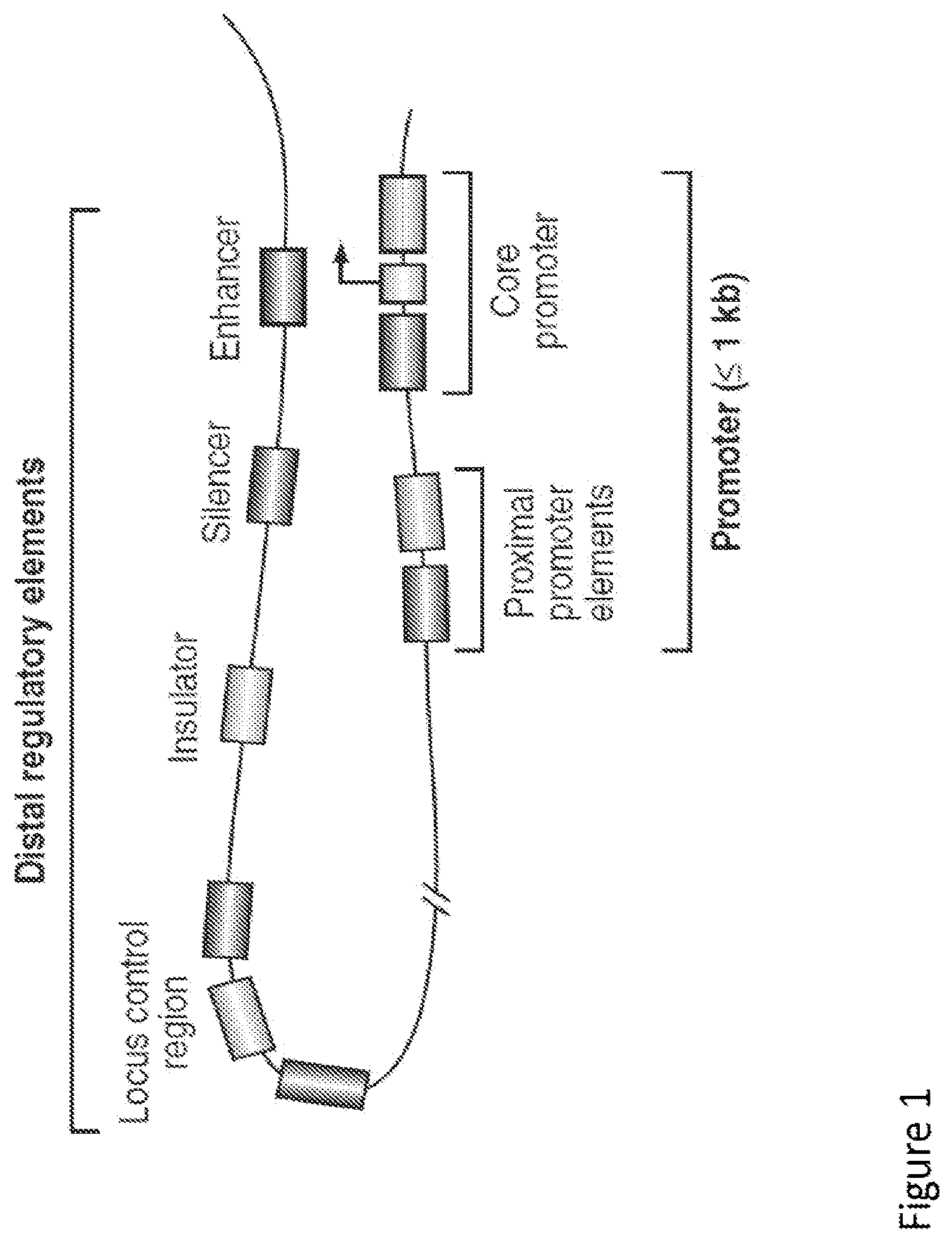 Patent US12097268 — Modulation of neural pathways — Figure 1