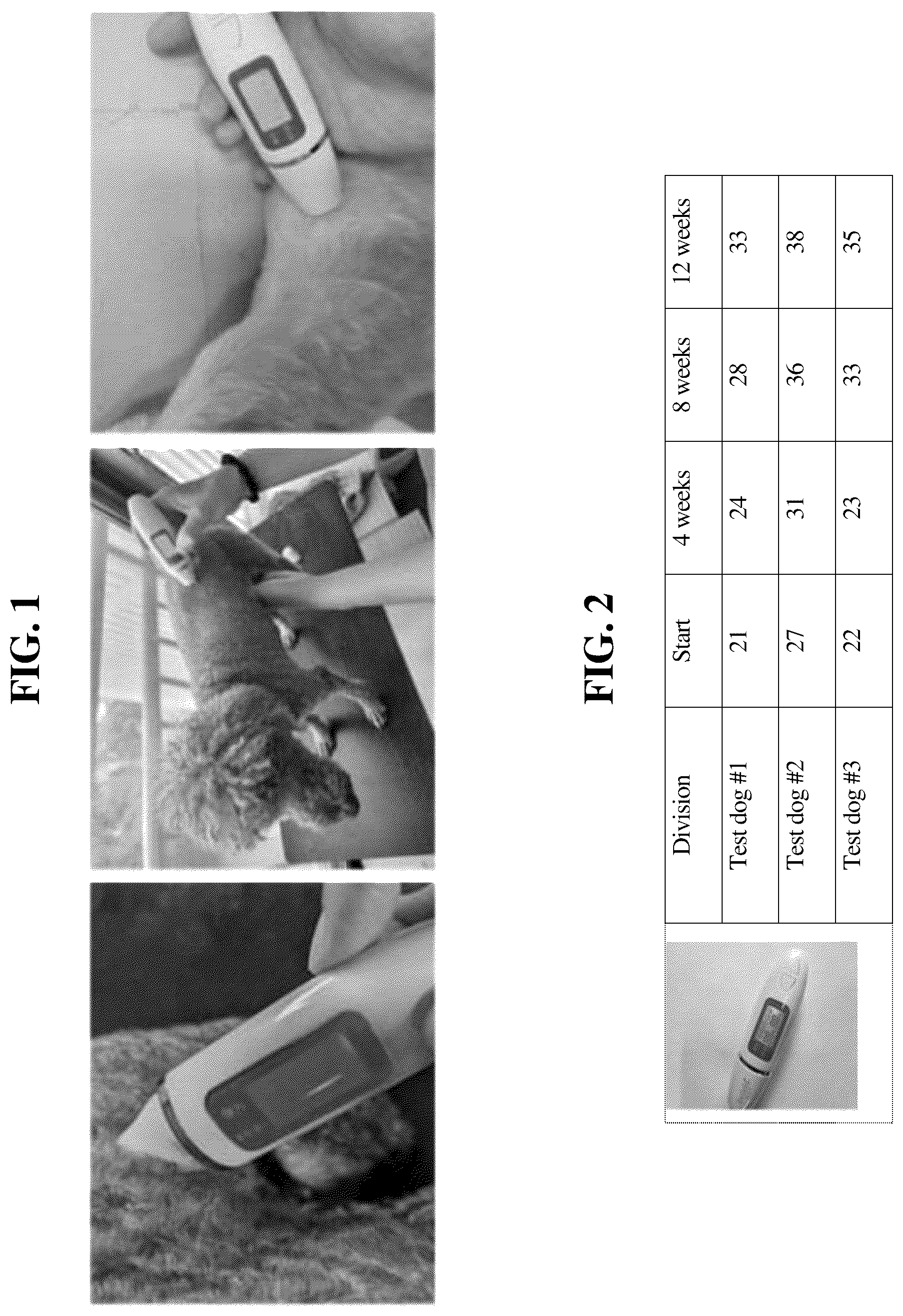 Patent US12097281 — Composition for improving skin moisturization of companion animals — Figure 1