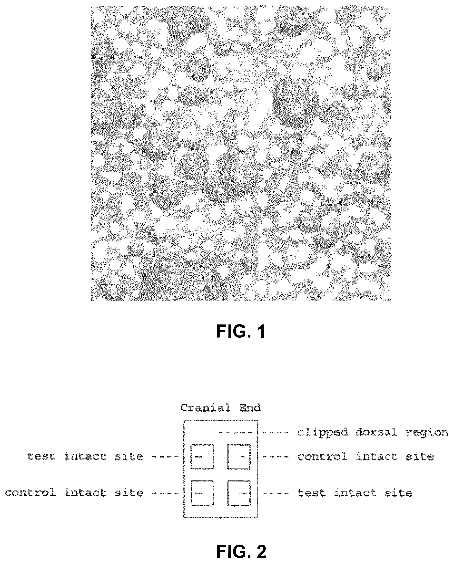 Patent US12097289 — Petrolatum-based compositions comprising cationic biocides — Figure 1