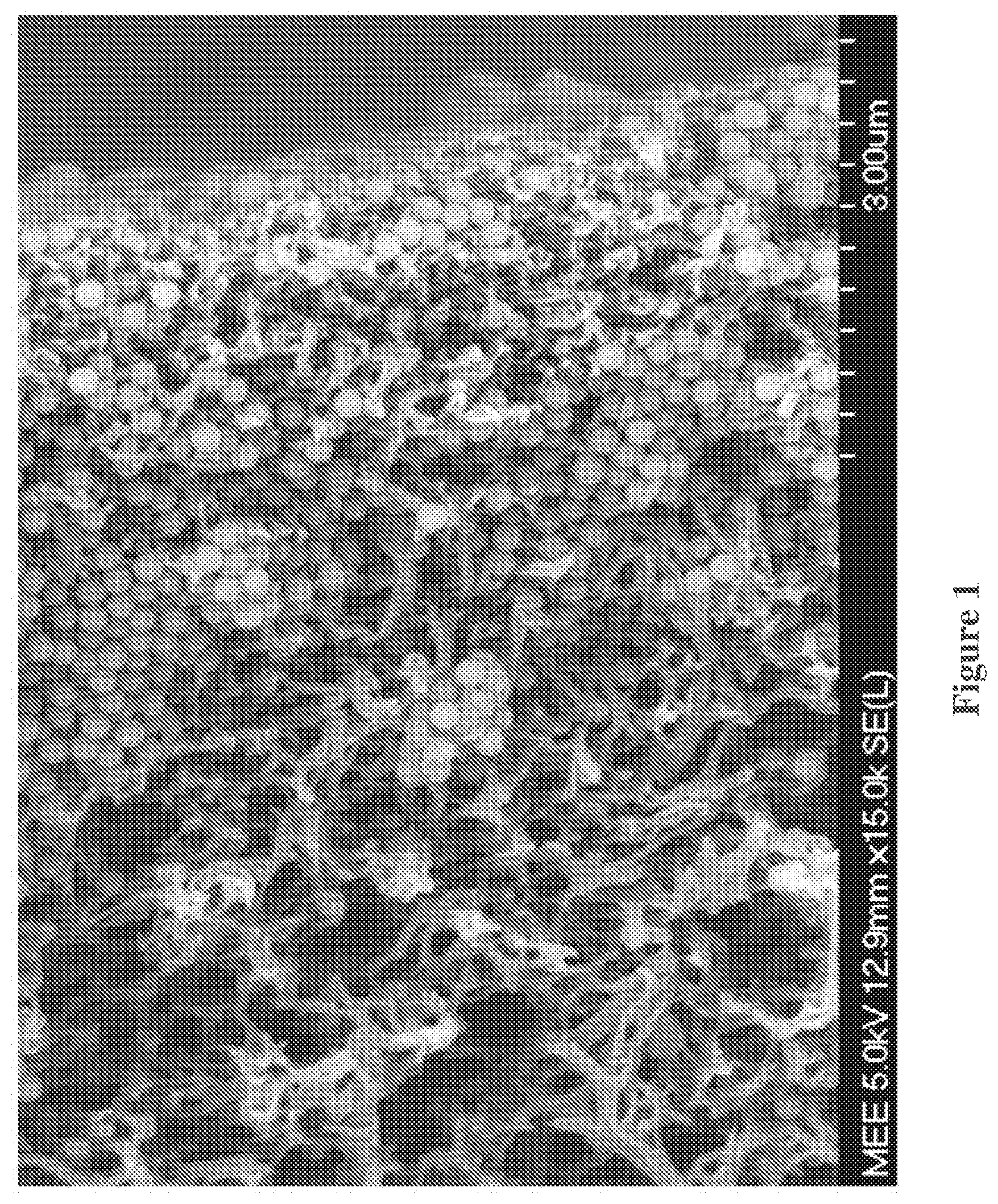 Patent US12097471 — Nanoparticles for use in membranes — Figure 1