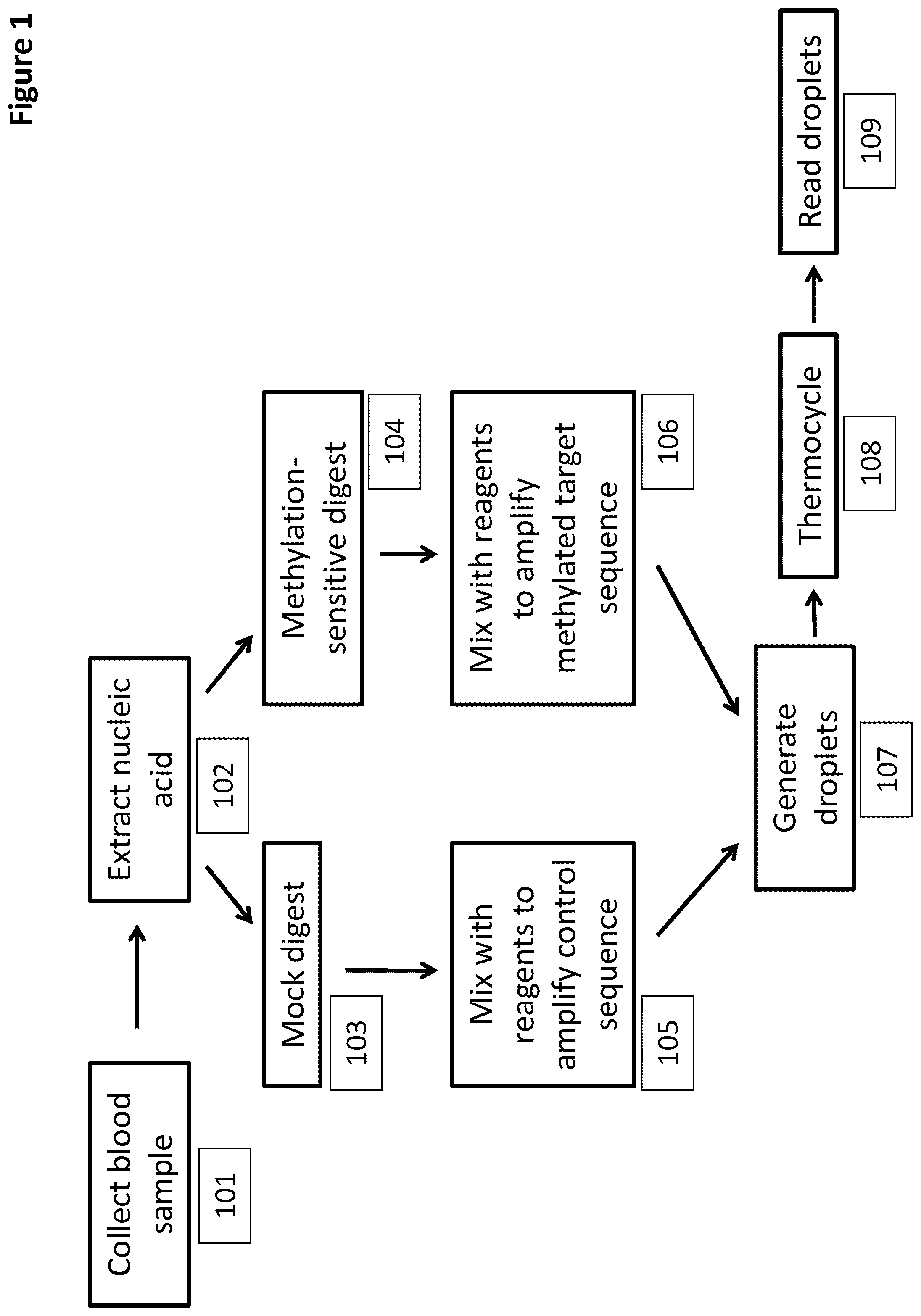 Patent US12097495 — Methods and compositions for detecting genetic material — Figure 1
