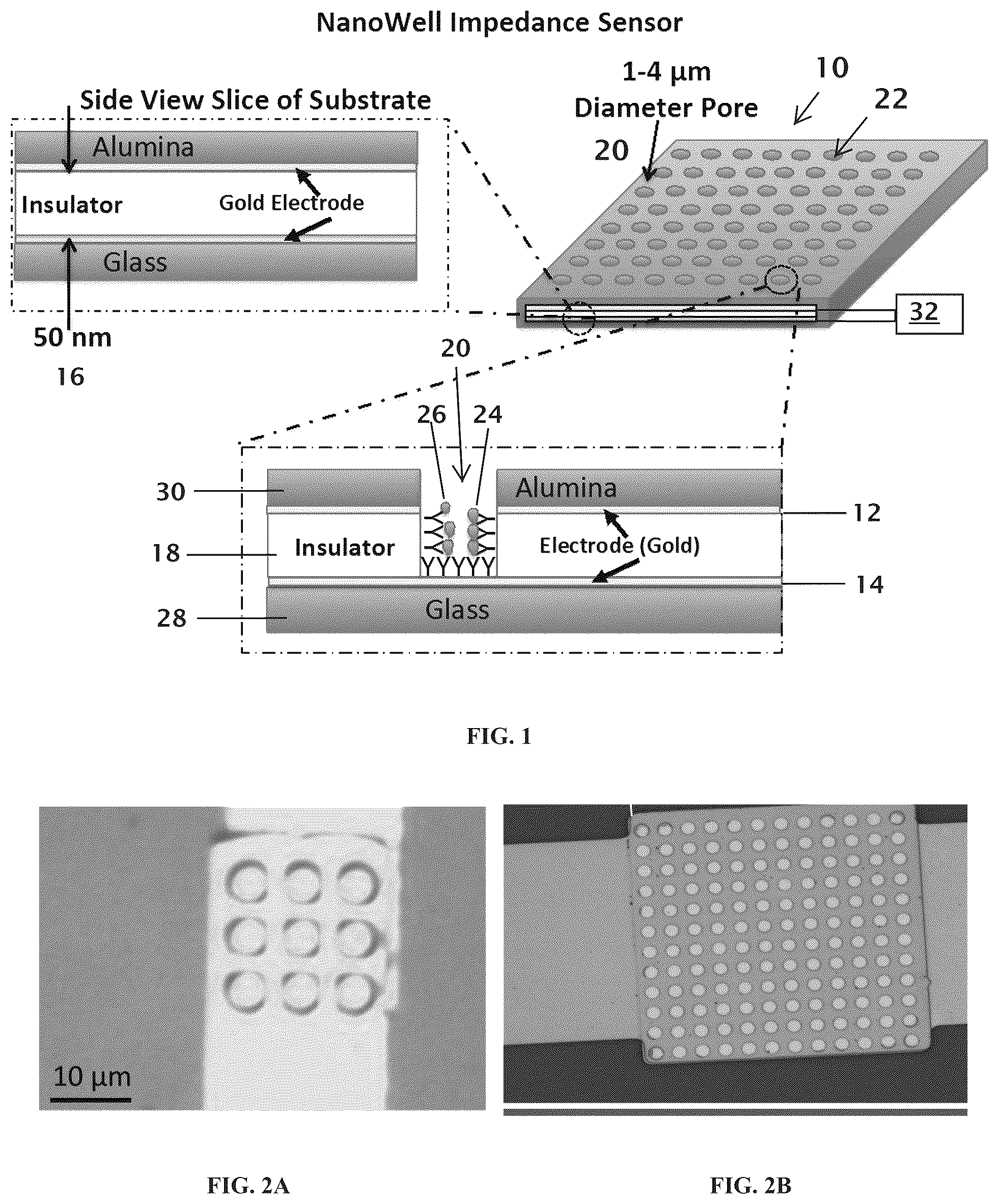 Patent US12097500 — Apparatus and methods for monitoring of biomarkers in blood — Figure 1