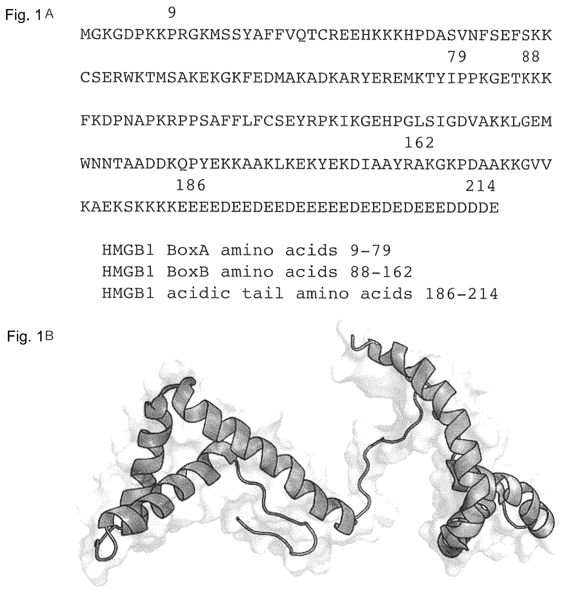 Patent US12098175 — Peptide inhibitors targeting the CXCL12/HMGB1 interaction and uses thereof — Figure 1