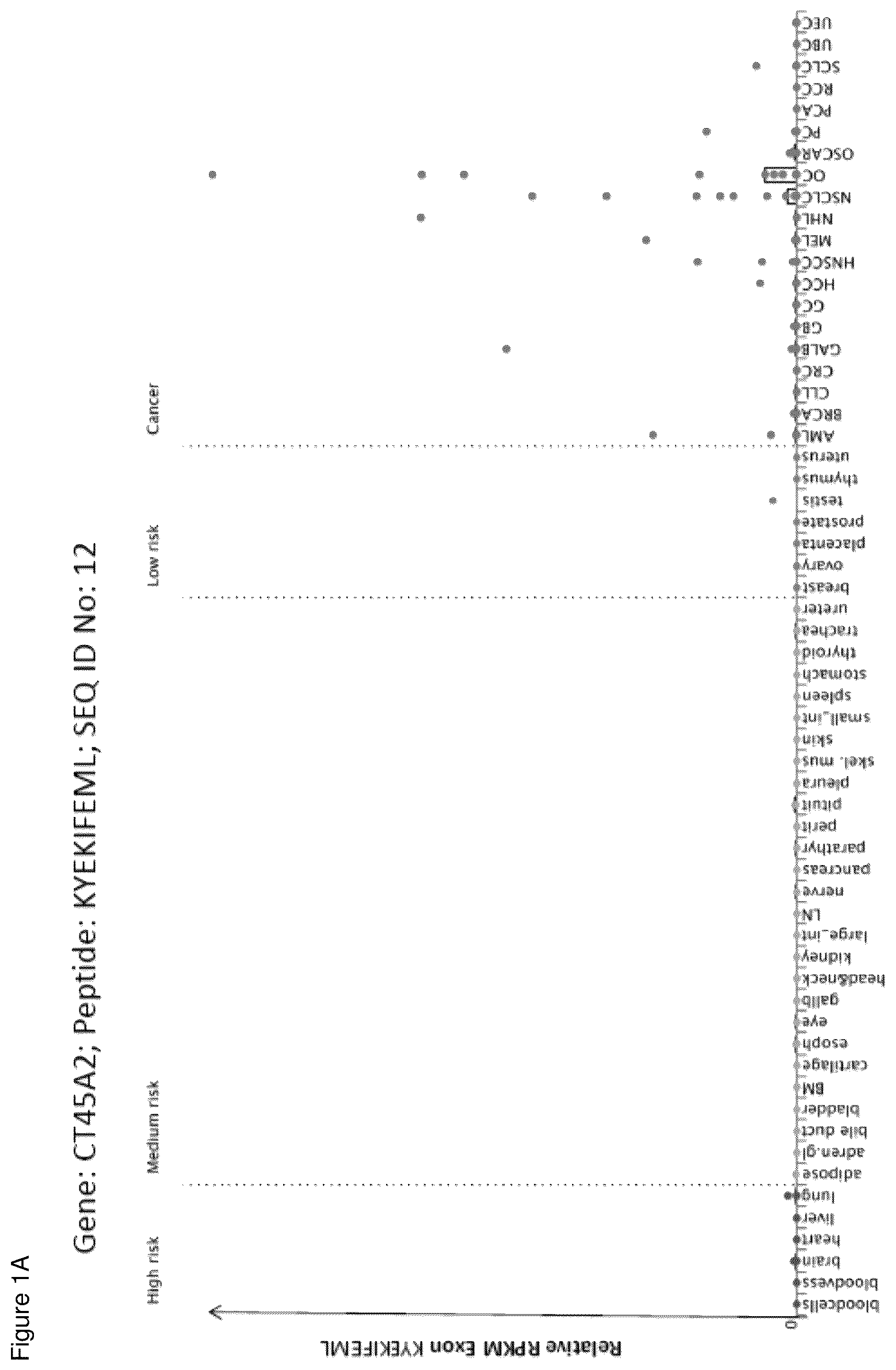 Patent US12098183 — Peptides and combination of peptides for use in immunotherapy against ovarian cancer and other cancers — Figure 1