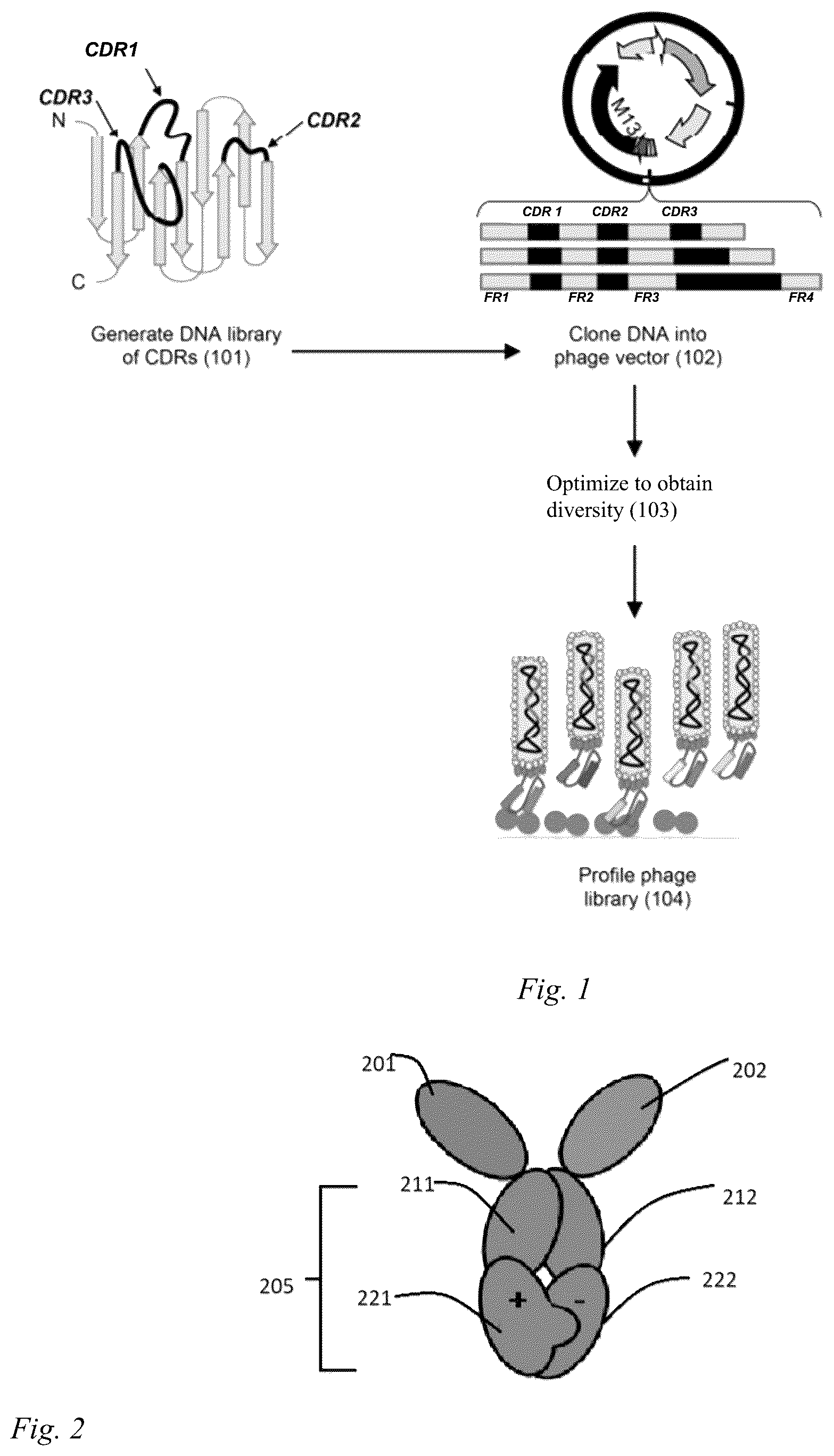 Patent US12098186 — Multivalent anti-SARS-CoV-2 nanobodies — Figure 1