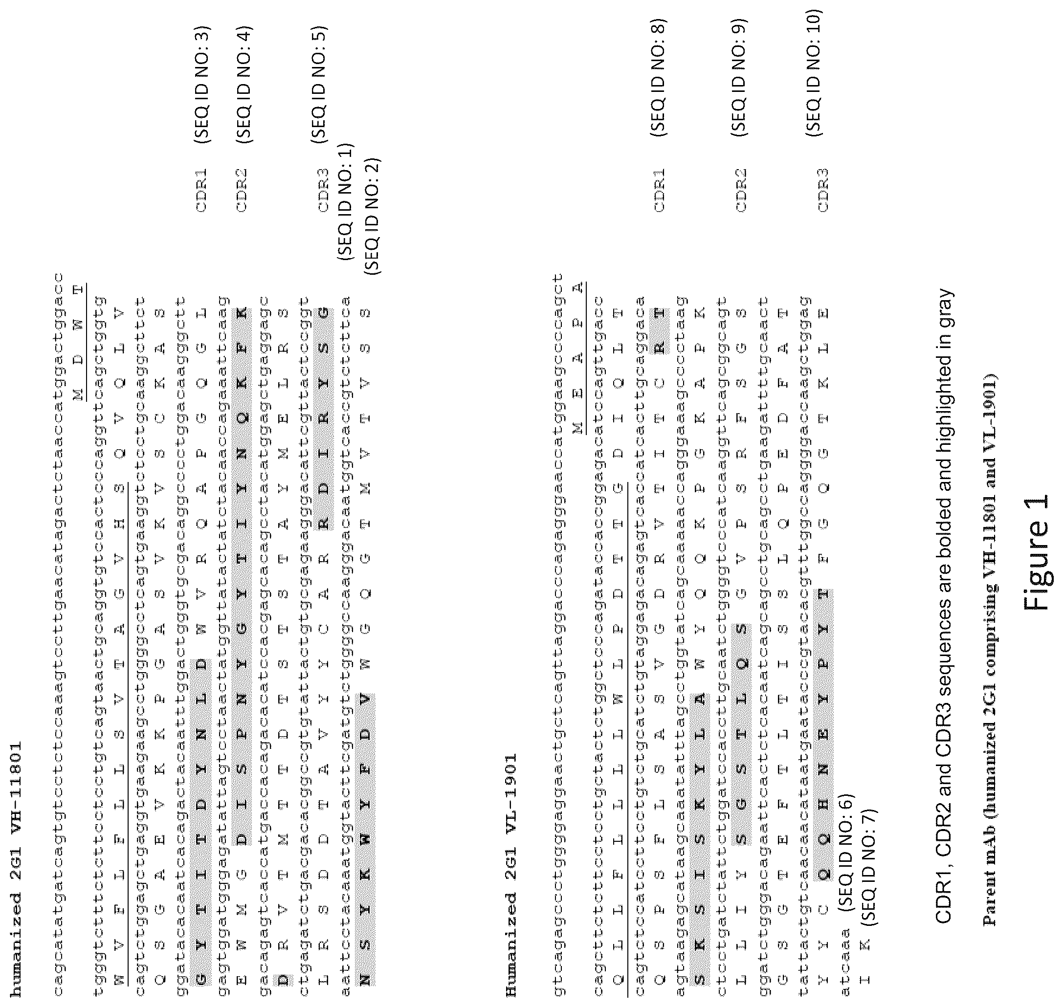 Patent US12098190 — Humanized anti-C5 antibodies and uses thereof — Figure 1