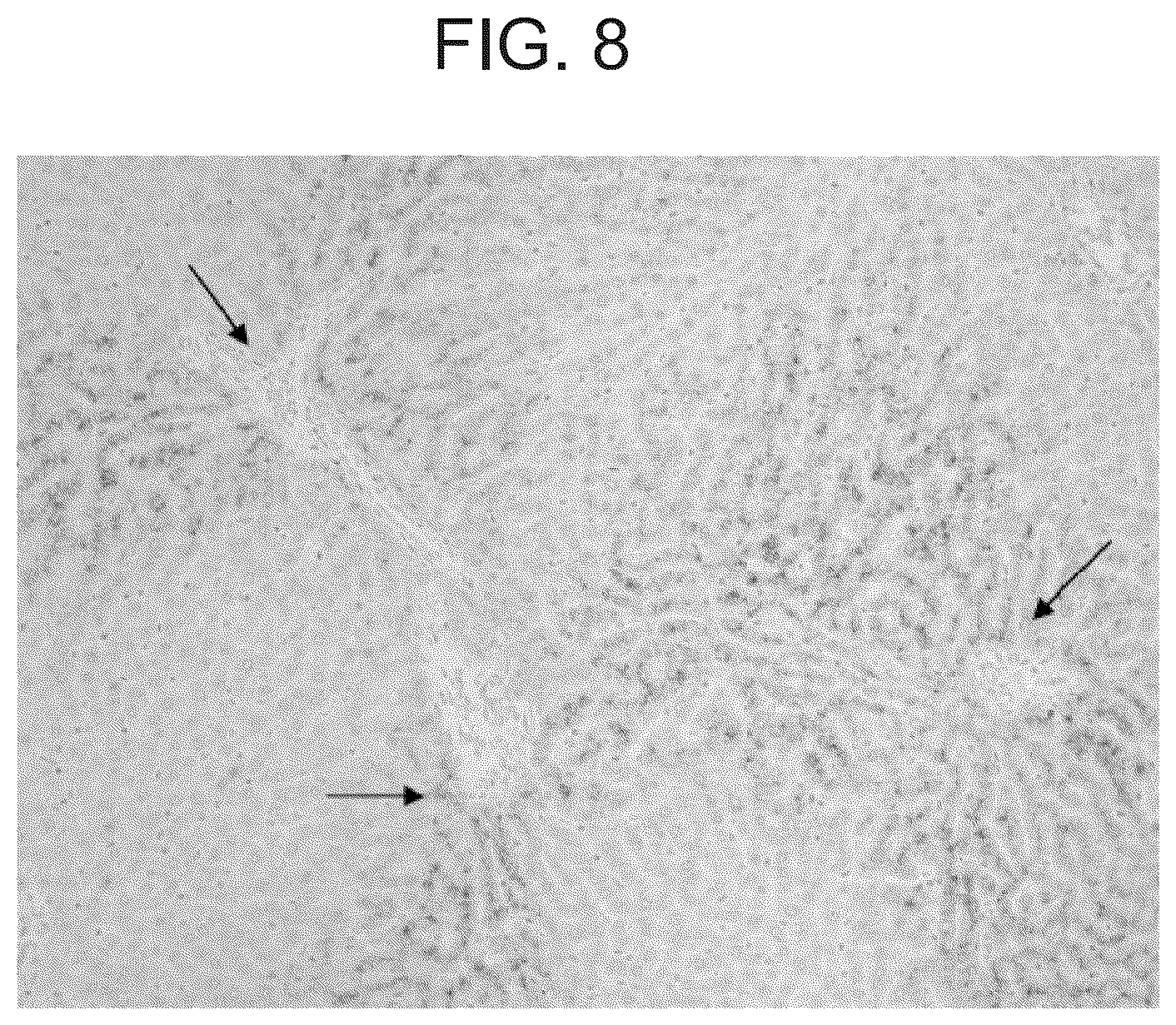 Patent US12098192 Figure 8 – Composition and method for the diagnosis and treatment of iron-related disorders