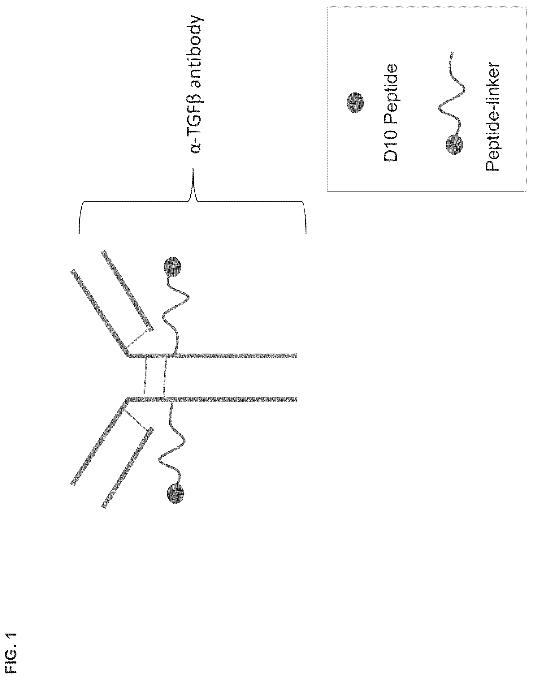 Patent US12098194 — Bone-targeting antibodies — Figure 1