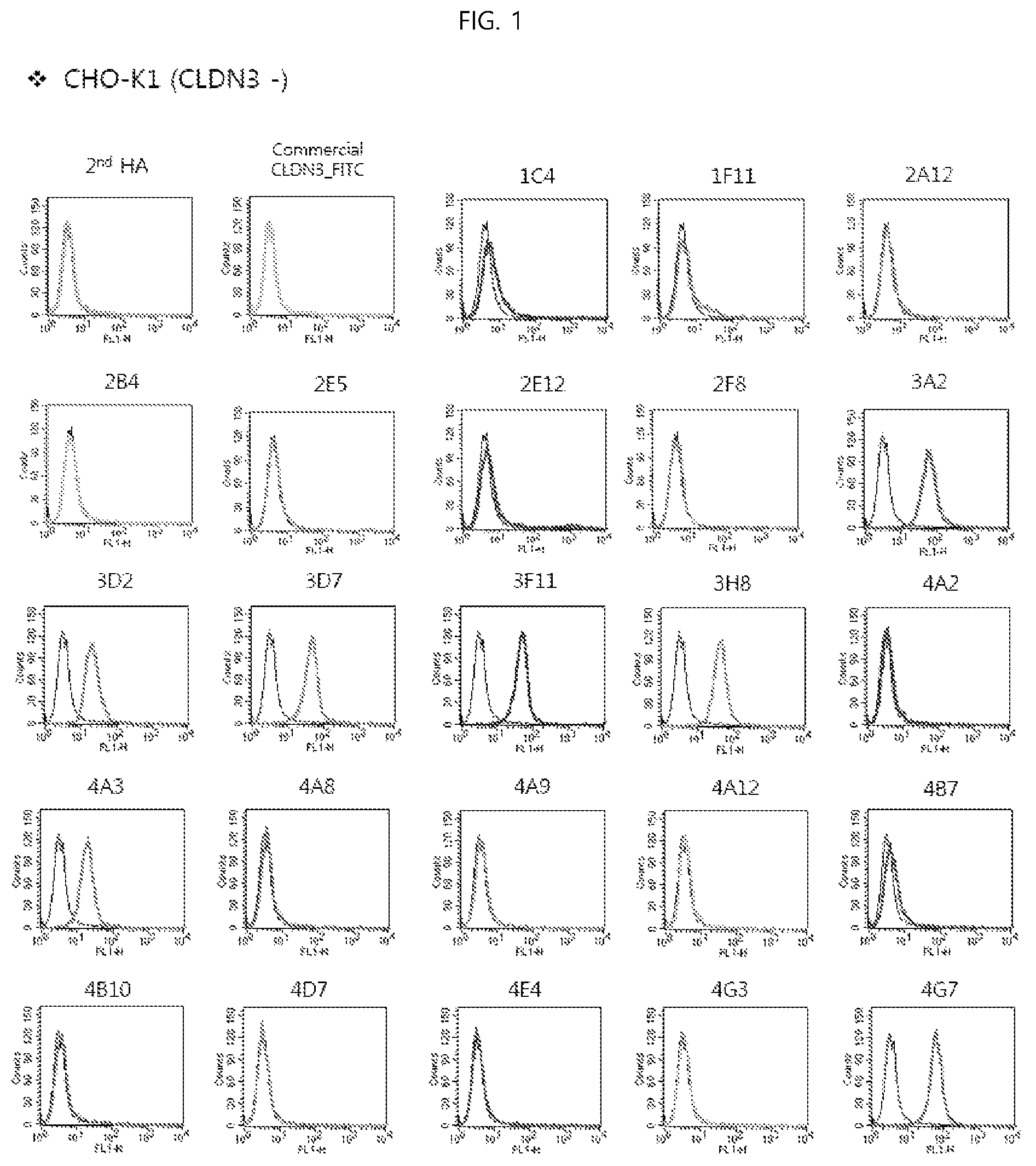 Patent US12098198 — Antibody binding specifically to ECL-2 of claudin 3, fragment thereof, and use thereof — Figure 1