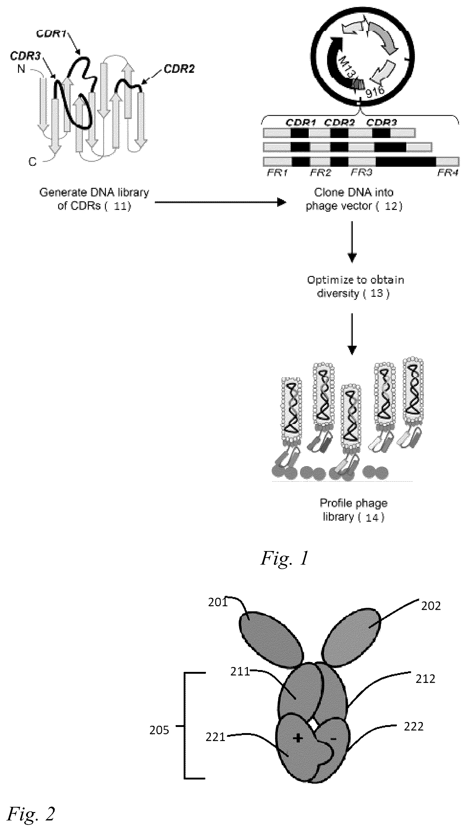 Patent US12098200 — Brain-targeting single domain antibodies and purification methods — Figure 1