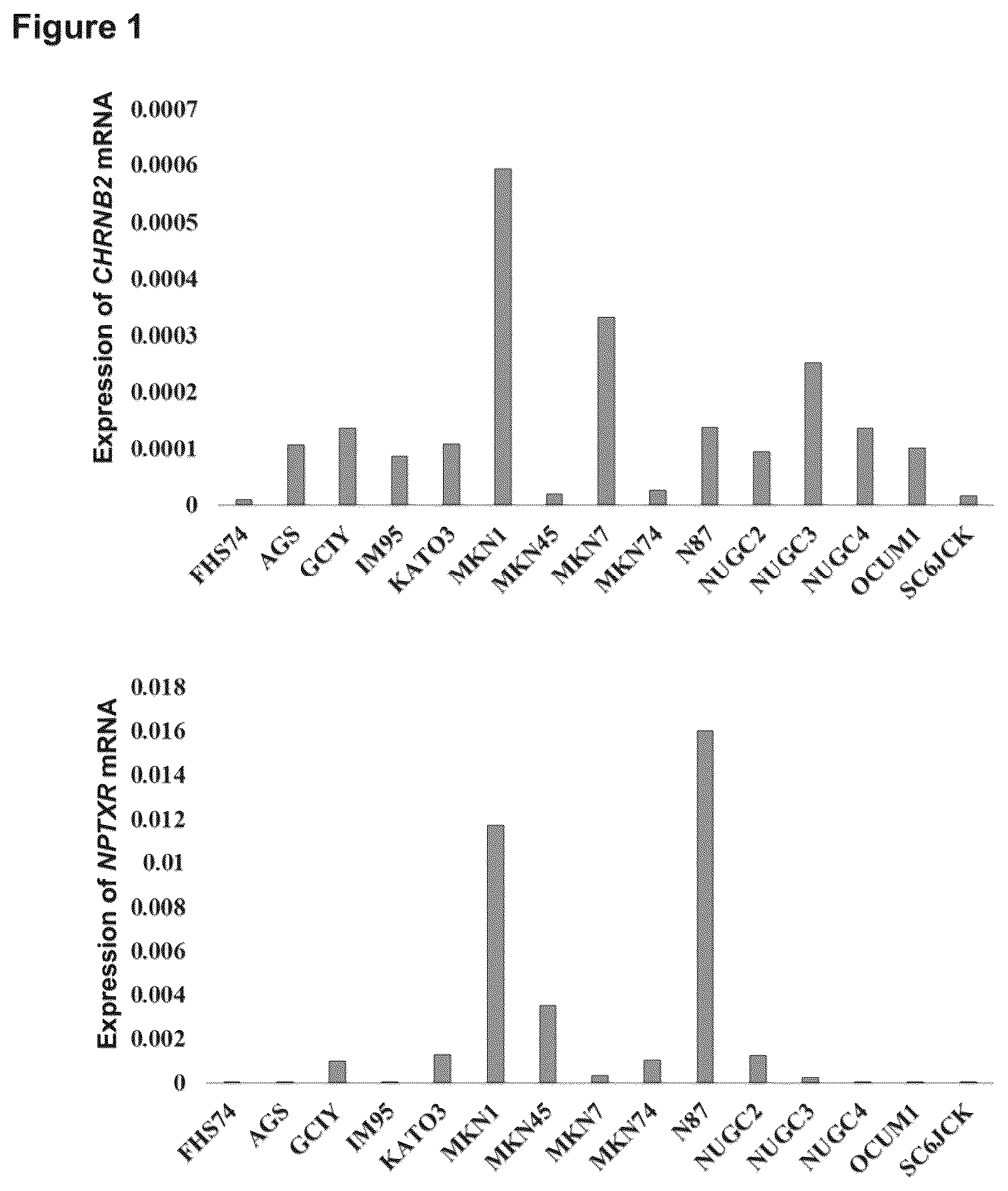 Patent US12098205 — Therapeutic agent targeted to receptor protein, test agent, antibody that binds to receptor protein, and screening method for molecularly targeted drugs — Figure 1