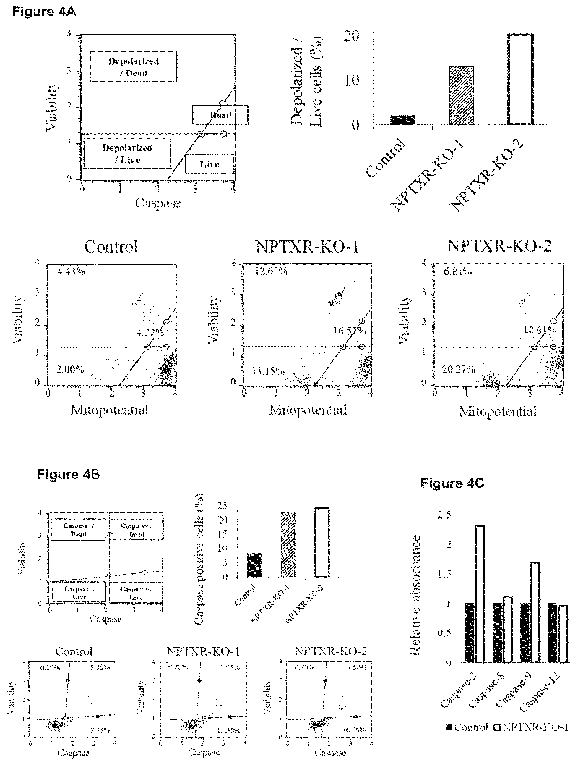 Patent US12098205 Figure 4 – Therapeutic agent targeted to receptor protein, test agent, antibody that binds to receptor protein, and screening method for molecularly targeted drugs