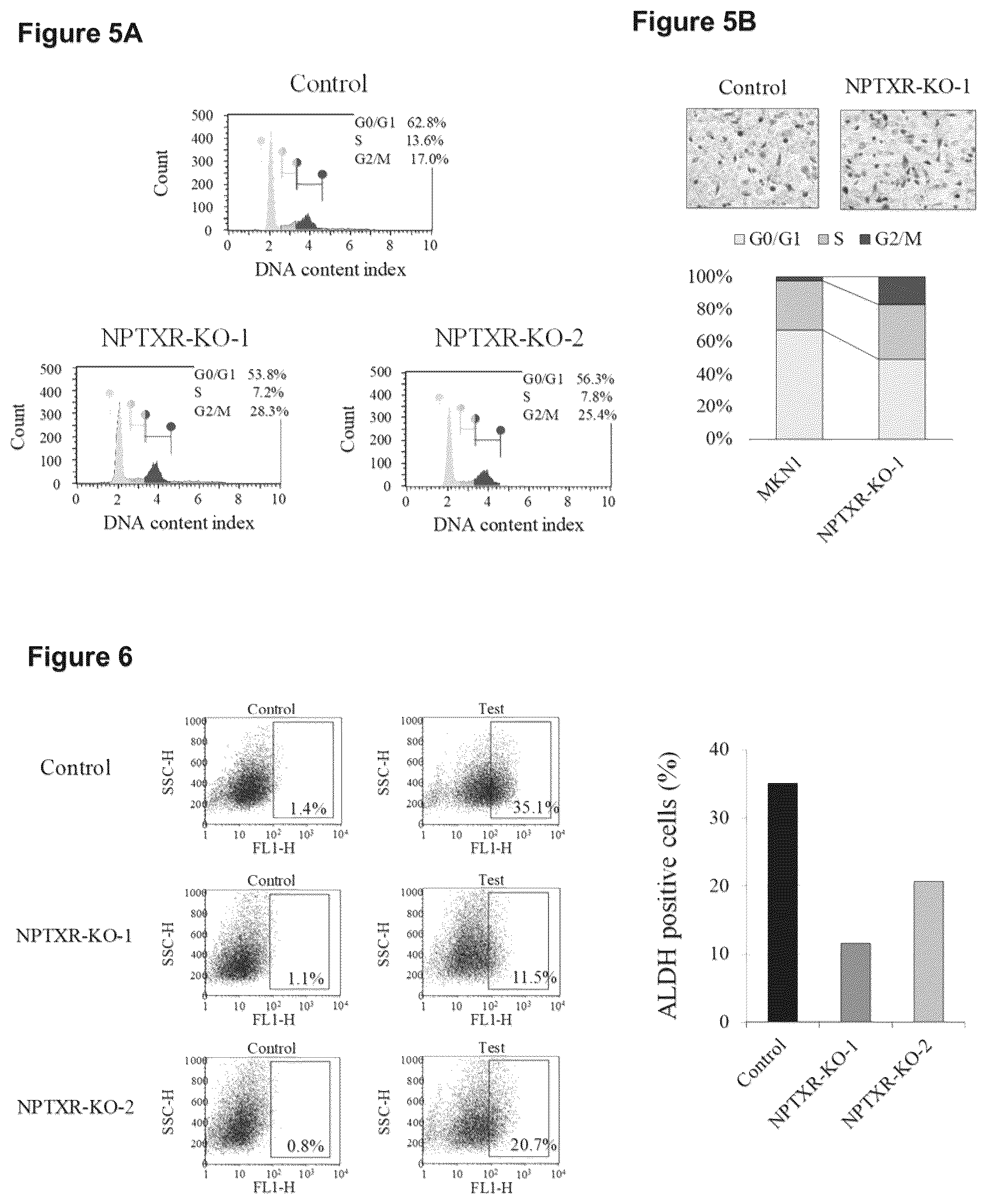 Patent US12098205 Figure 5 – Therapeutic agent targeted to receptor protein, test agent, antibody that binds to receptor protein, and screening method for molecularly targeted drugs