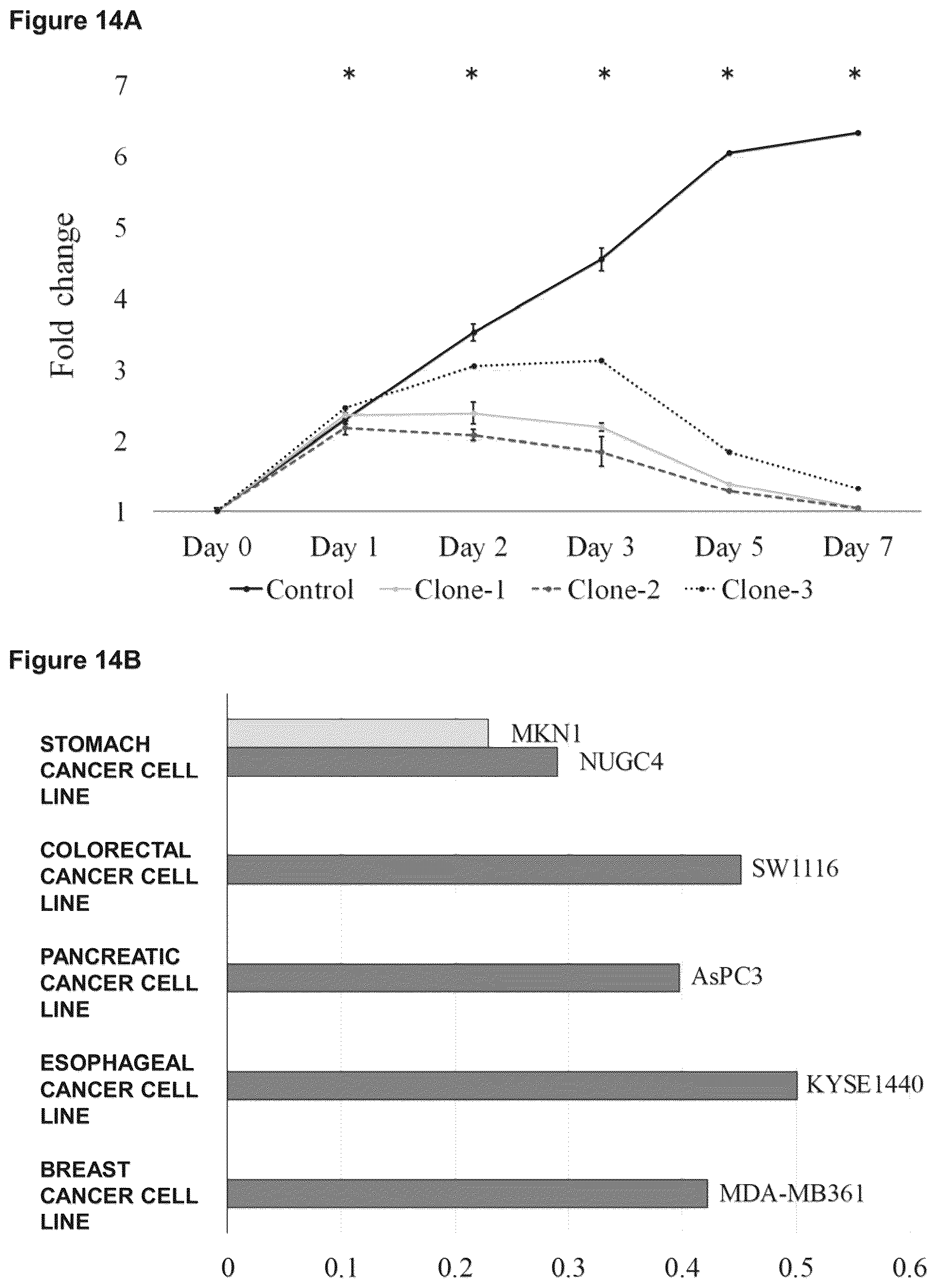 Patent US12098205 Figure 13 – Therapeutic agent targeted to receptor protein, test agent, antibody that binds to receptor protein, and screening method for molecularly targeted drugs