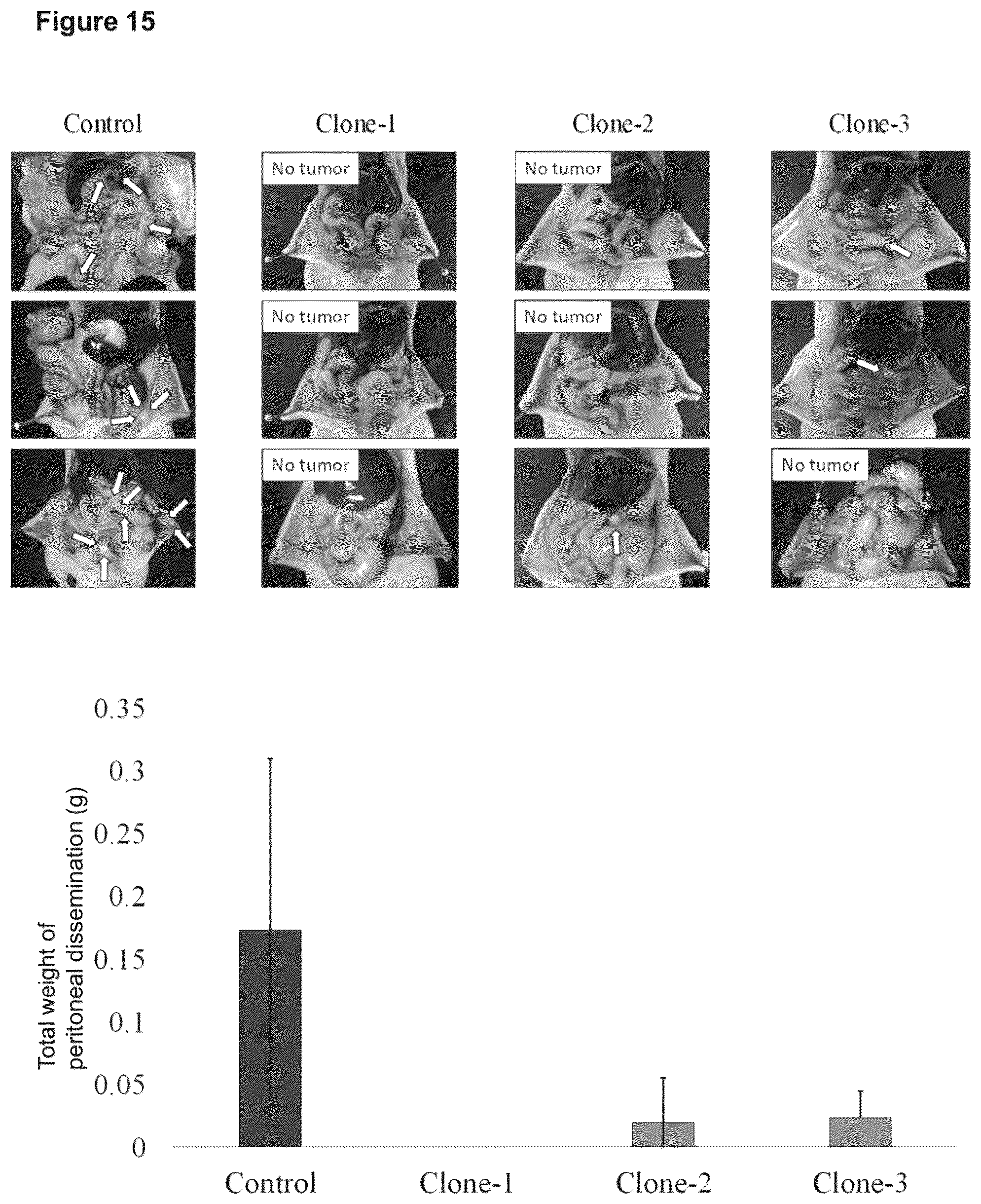 Patent US12098205 Figure 14 – Therapeutic agent targeted to receptor protein, test agent, antibody that binds to receptor protein, and screening method for molecularly targeted drugs