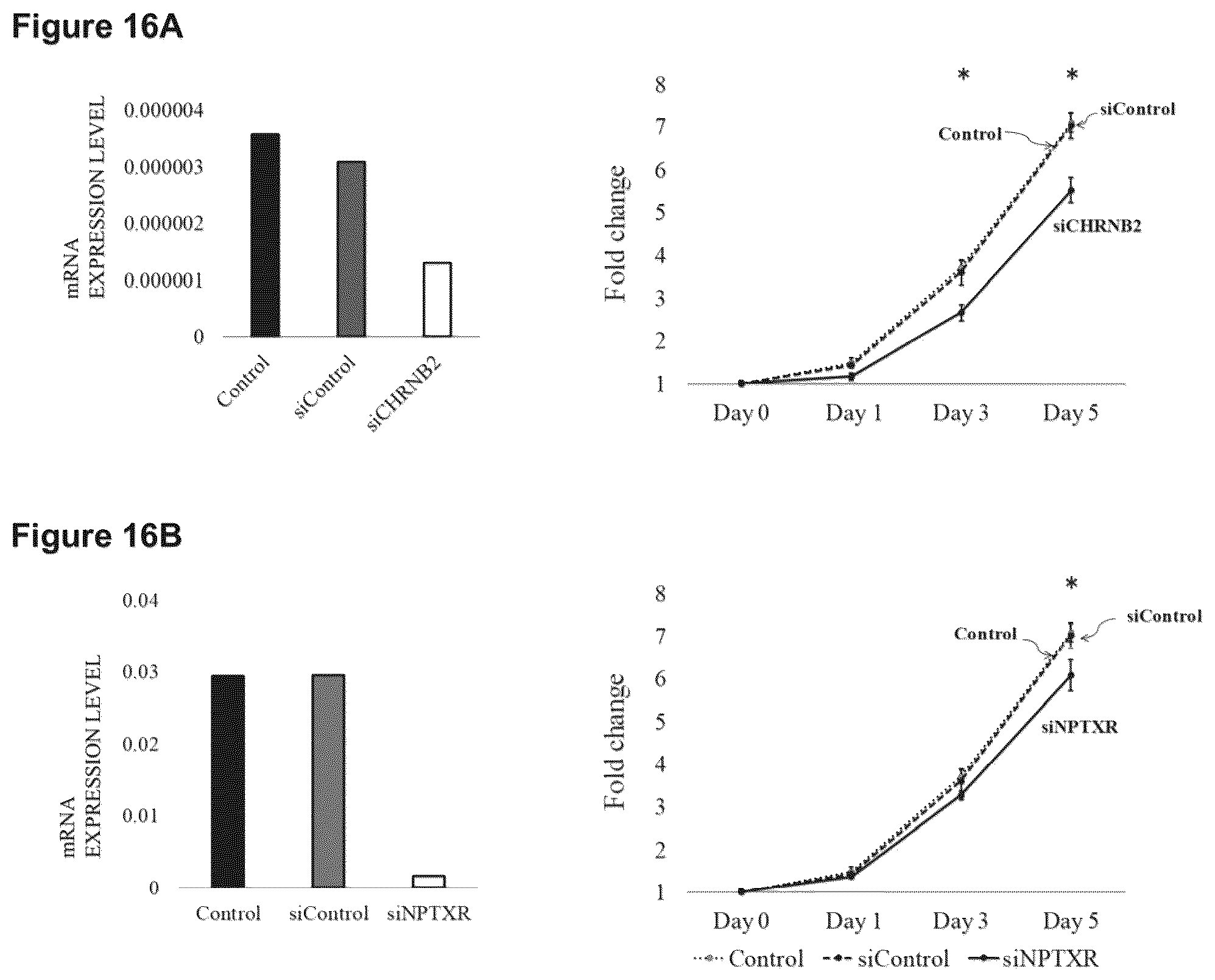 Patent US12098205 Figure 15 – Therapeutic agent targeted to receptor protein, test agent, antibody that binds to receptor protein, and screening method for molecularly targeted drugs