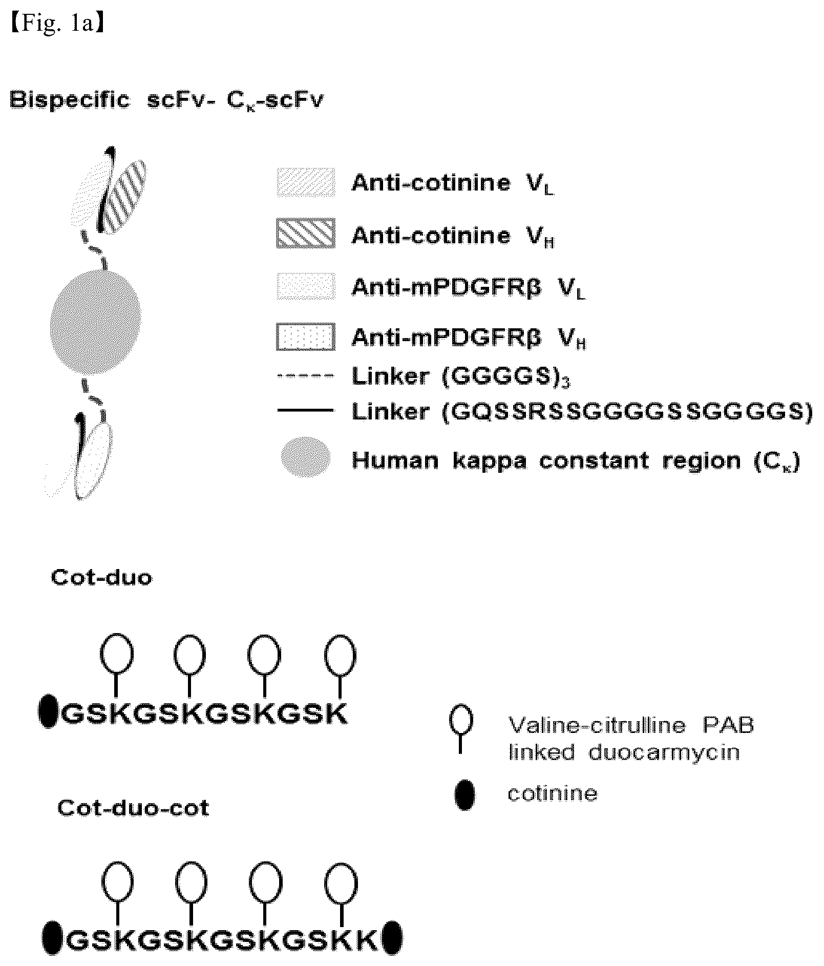 Patent US12098206 — PDGF receptor antibody and use thereof — Figure 1