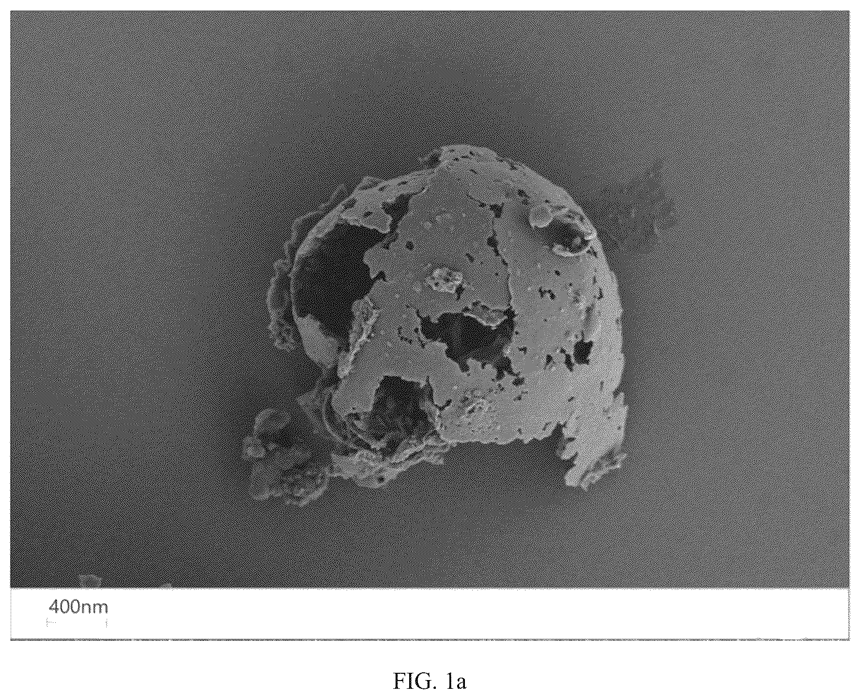 Patent US12098225 Figure 1 – Preparation method for amphiphilic nanosheet