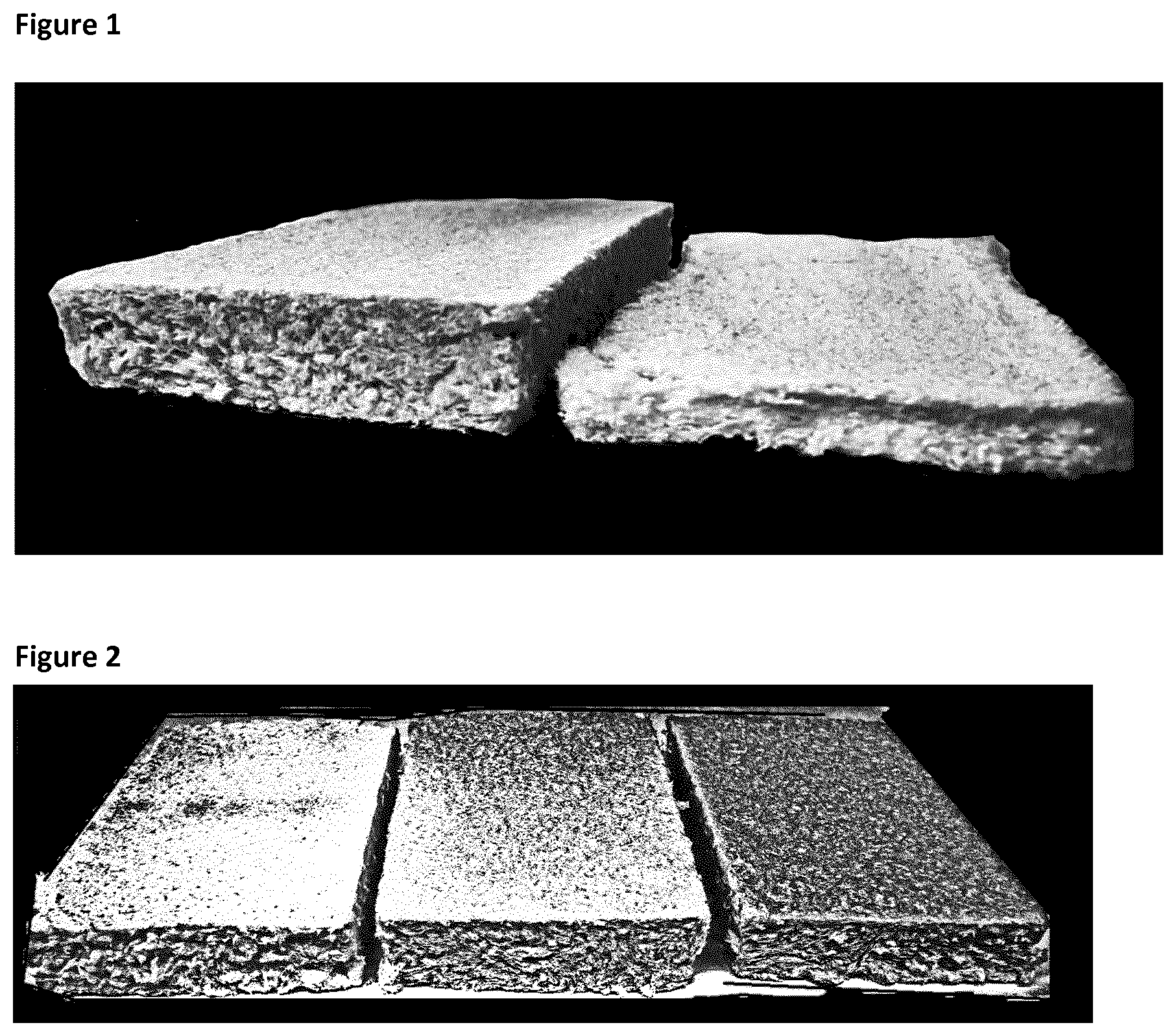 Patent US12098259 — Porous material of cellulose fibres and gluten — Figure 1