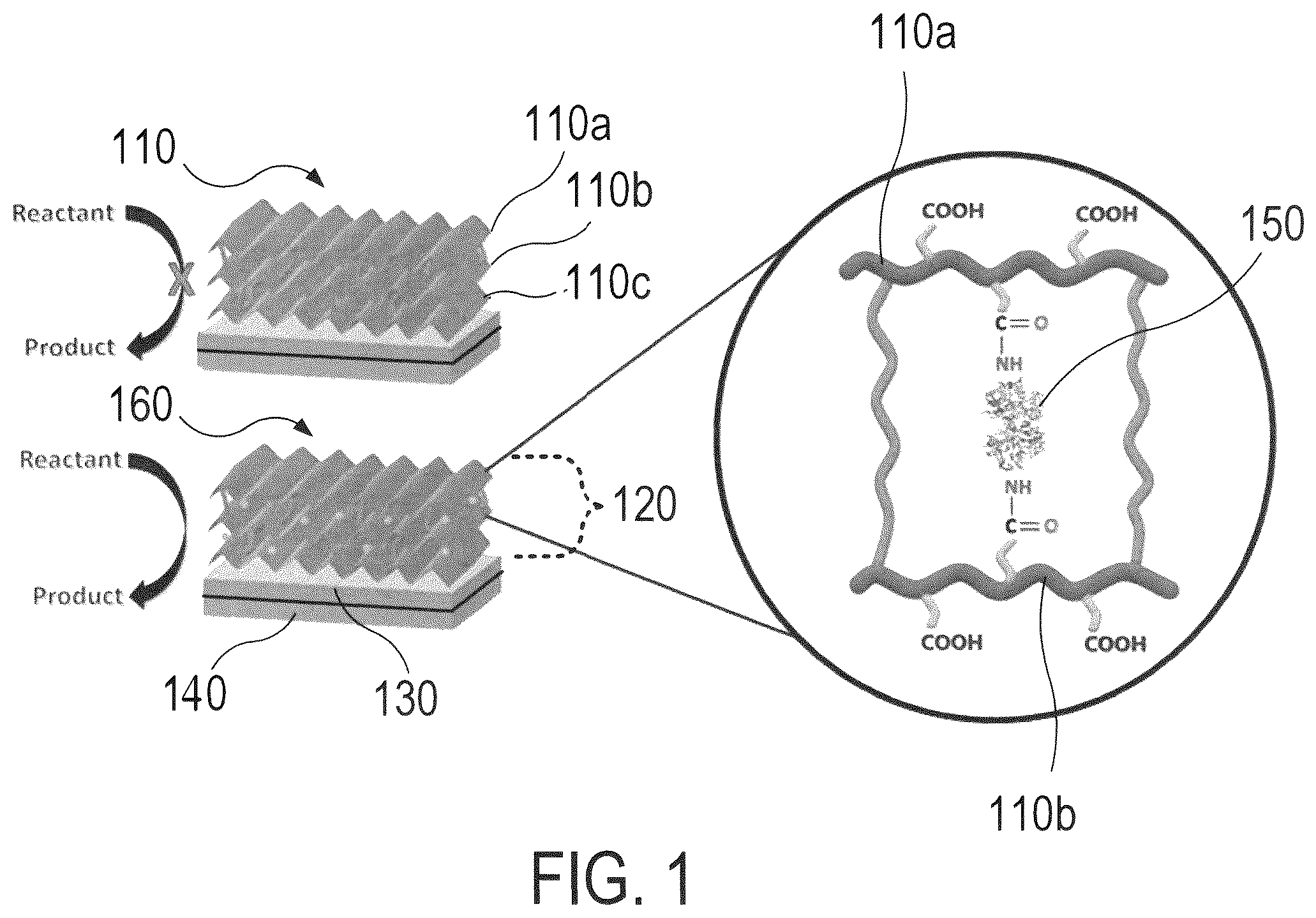 Patent US12098272 — Hydrogel-enzyme systems and methods — Figure 1