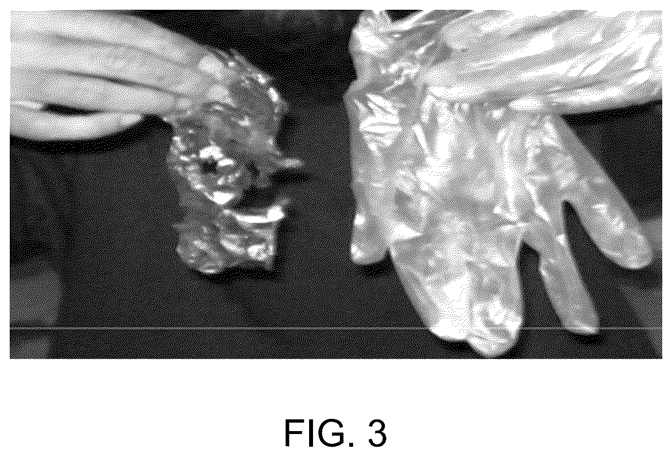 Patent US12098285 Figure 8 – Bio-based wearable films and method of preparation thereof