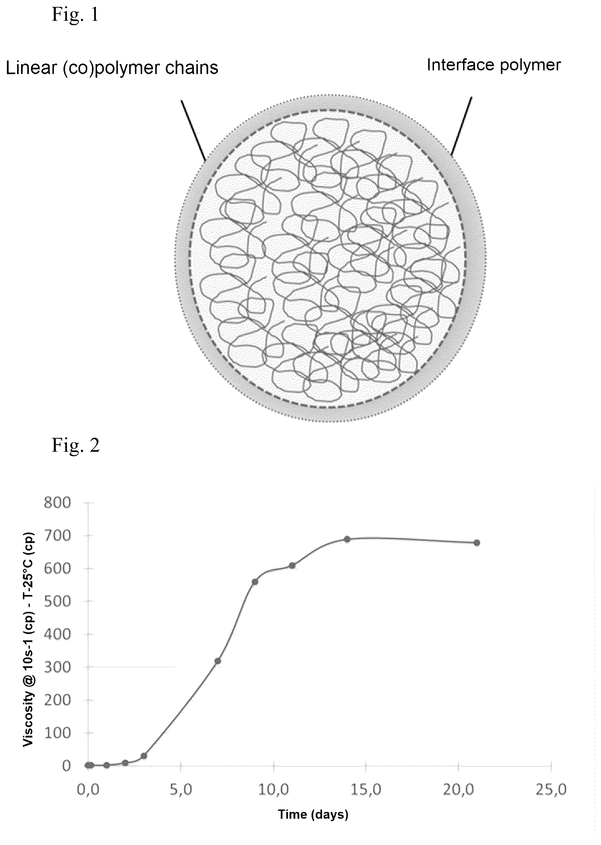 Patent US12098325 — Method for modifying the water permeability of a subterranean formation — Figure 1
