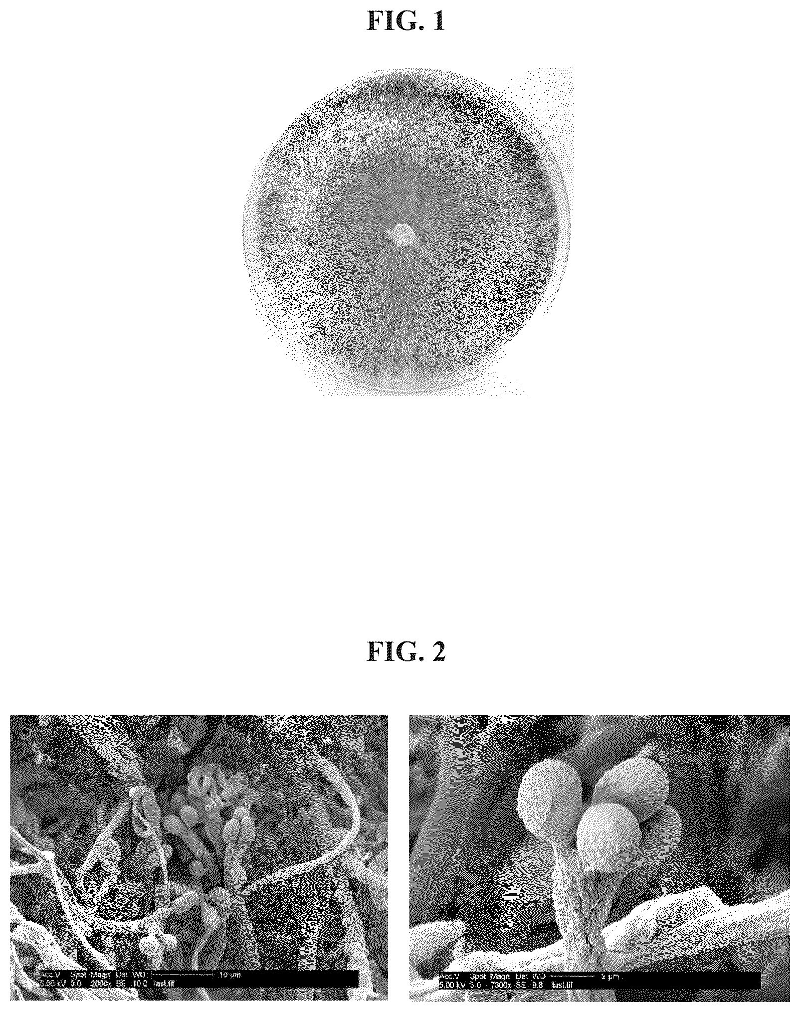 Patent US12098362 — Uses of Daldinia sp. or volatile organic compounds derived therefrom — Figure 1