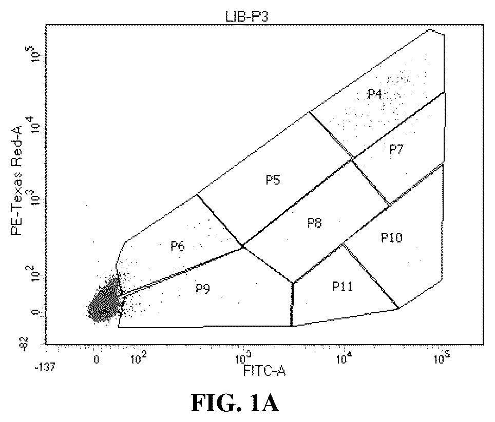 Patent US12098366 — Mutant subgenomic promoter library and uses thereof — Figure 1