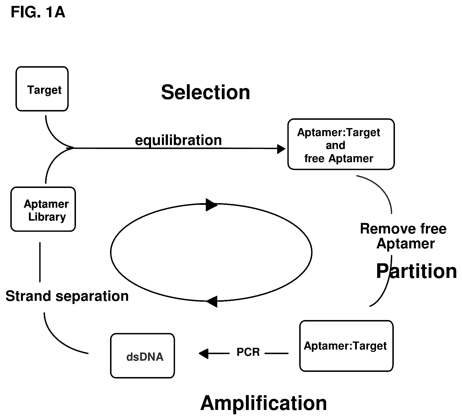 Patent US12098370 — Method for generating aptamers with improved off-rates — Figure 1