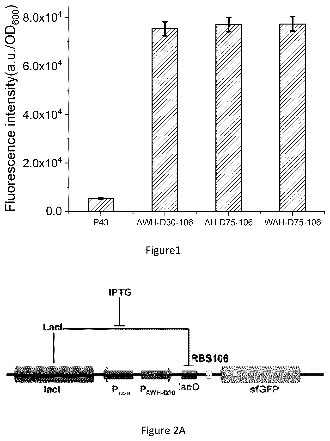 Patent US12098373 Figure 1 – Bacillus subtilis efficiently-induced expression system based on artificial series promoter
