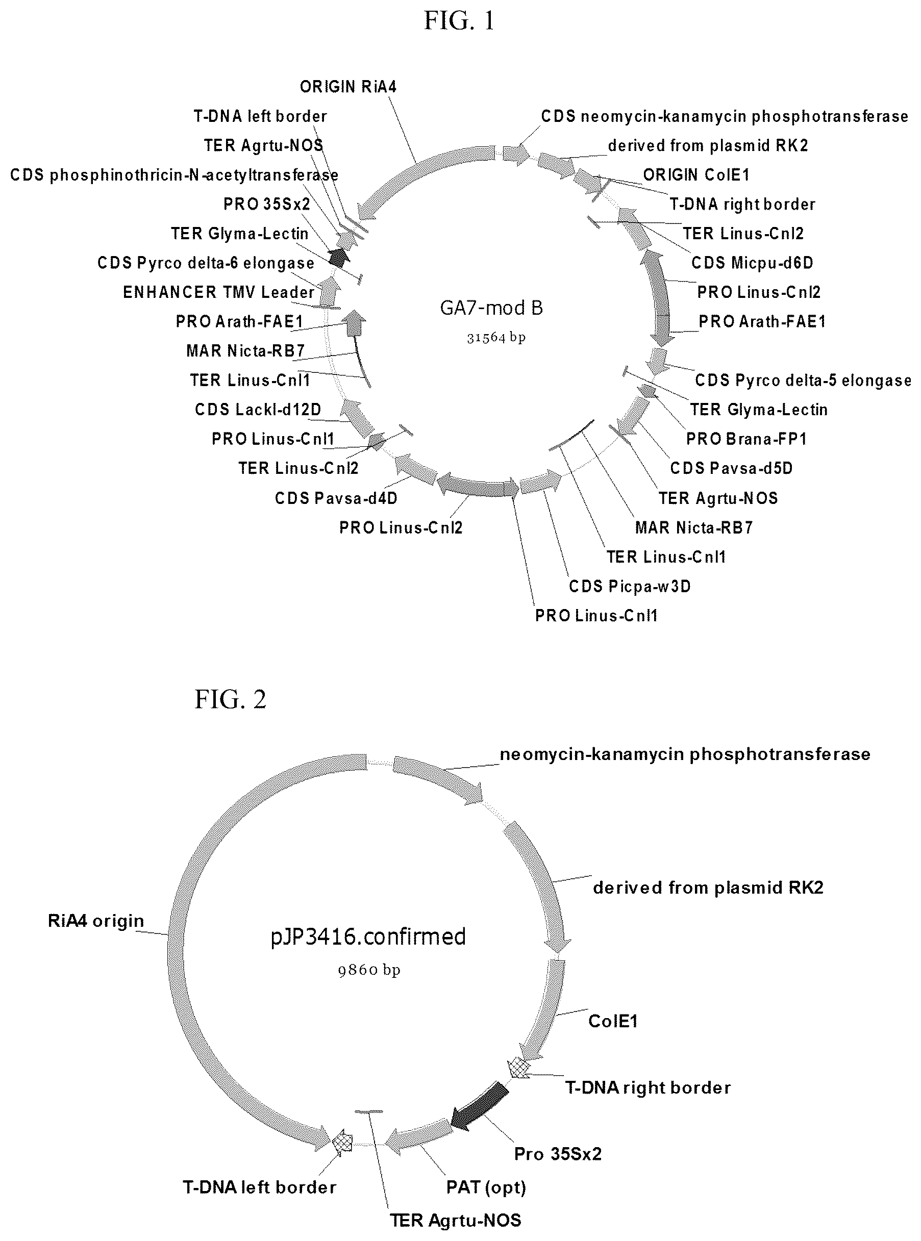 Patent US12098375 — Elite event canola NS-B50027-4 — Figure 1