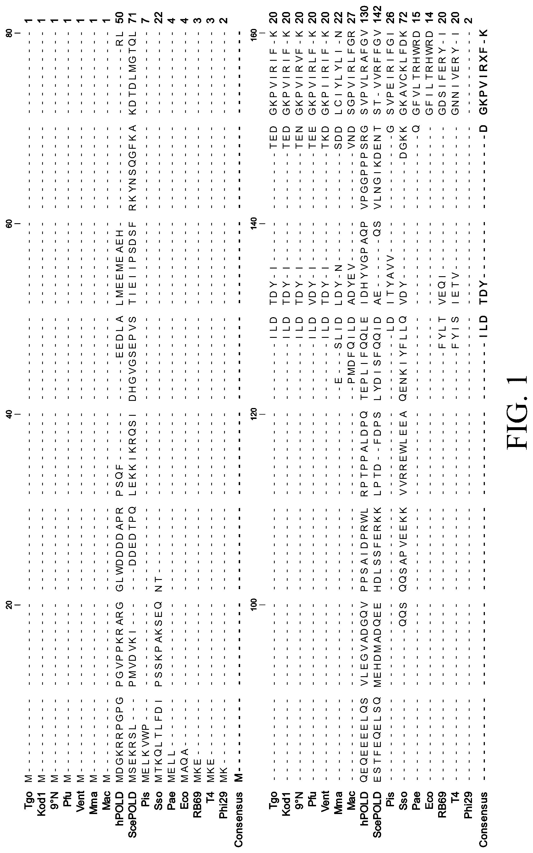 Patent US12098396 — Polymerase variants for template-independent enzymatic nucleic acids synthesis and kit comprising the same — Figure 1