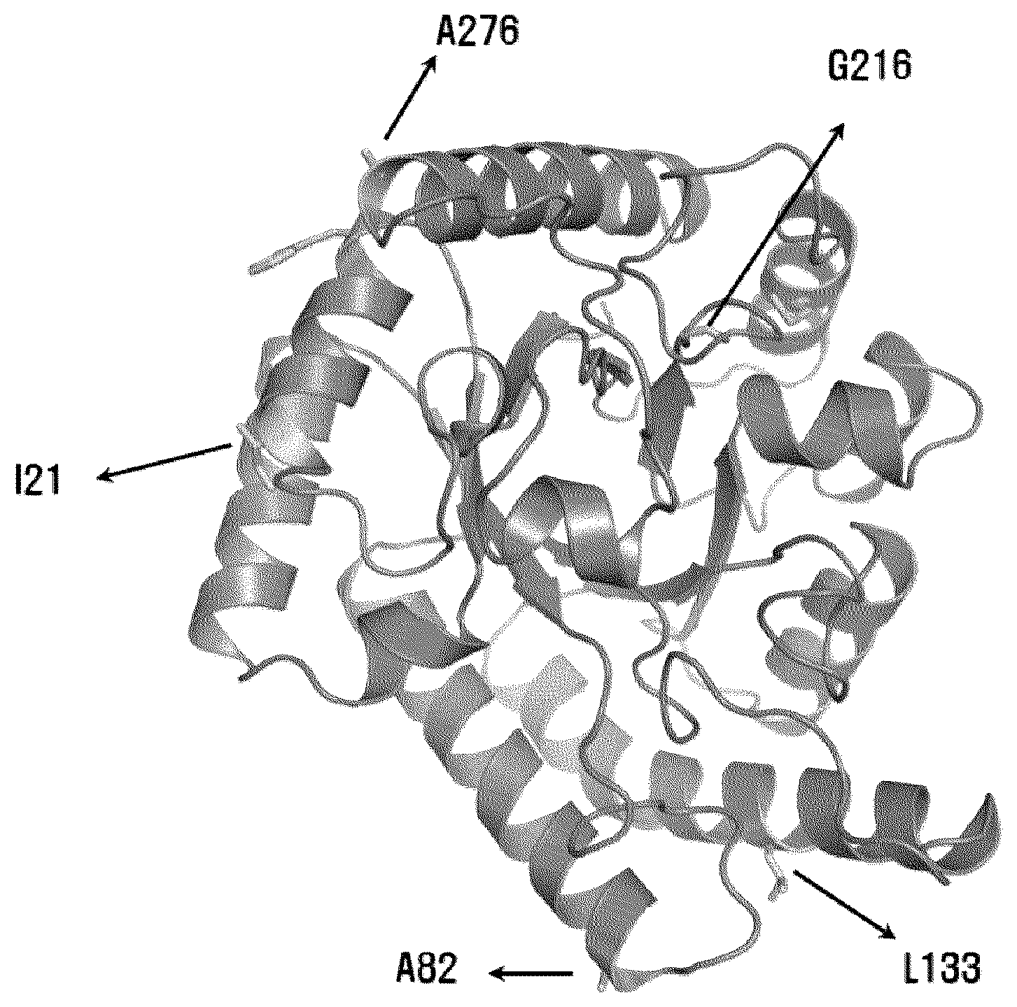 Patent US12098404 — Allulose epimerase variant, method of producing the same, and method of producing allulose using the same — Figure 1