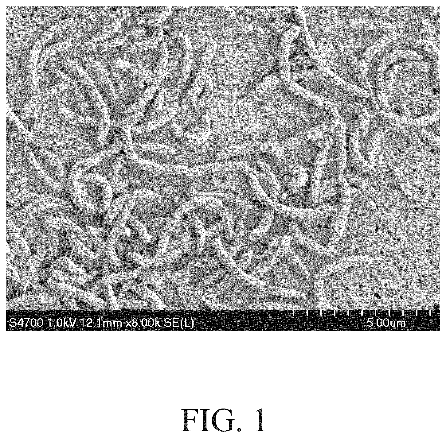 Patent US12098412 Figure 1 – Roseburia hominis HGM001 isolate and use thereof
