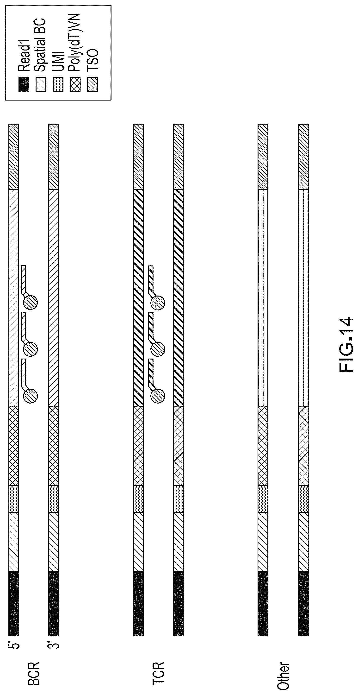 Patent US12098417 Figure 14 – Spatial transcriptomics for antigen-receptors
