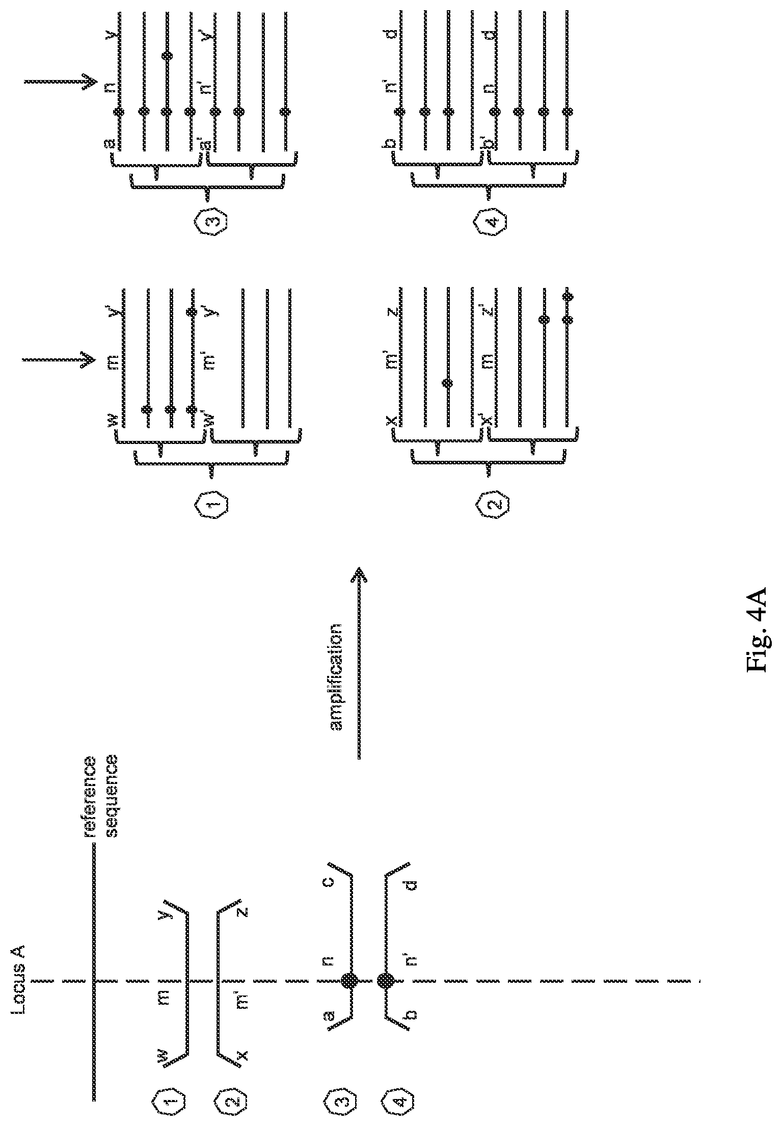 Patent US12098421 Figure 4 – Methods and systems for detecting genetic variants