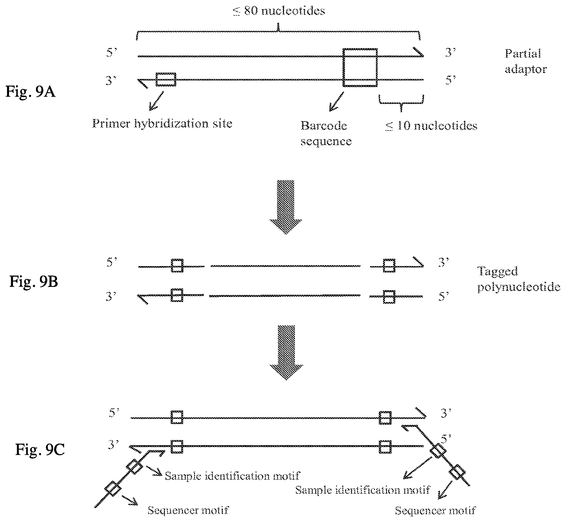 Patent US12098422 Figure 11 – Methods and systems for detecting genetic variants