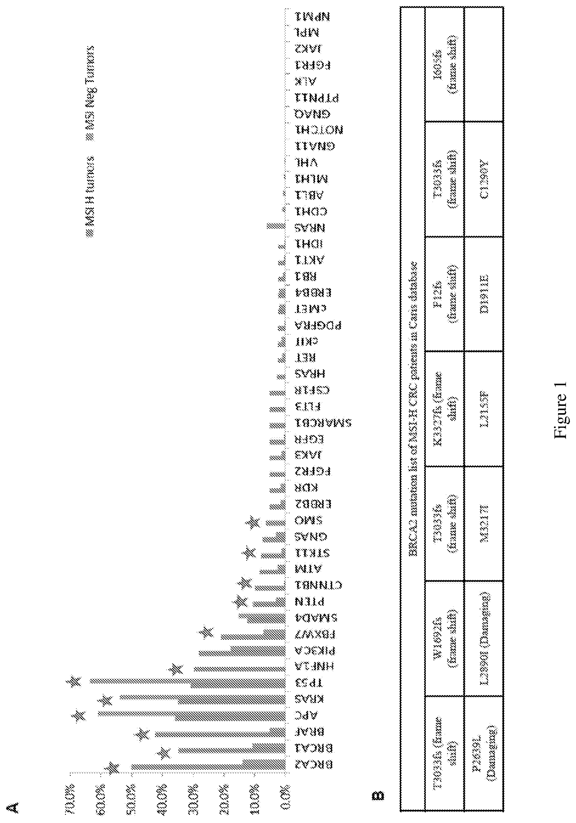 Patent US12098428 — Frequent EGFR and NTRK somatic mutations in colorectal cancer (CRC) with microsatellite instability (MSI) — Figure 1