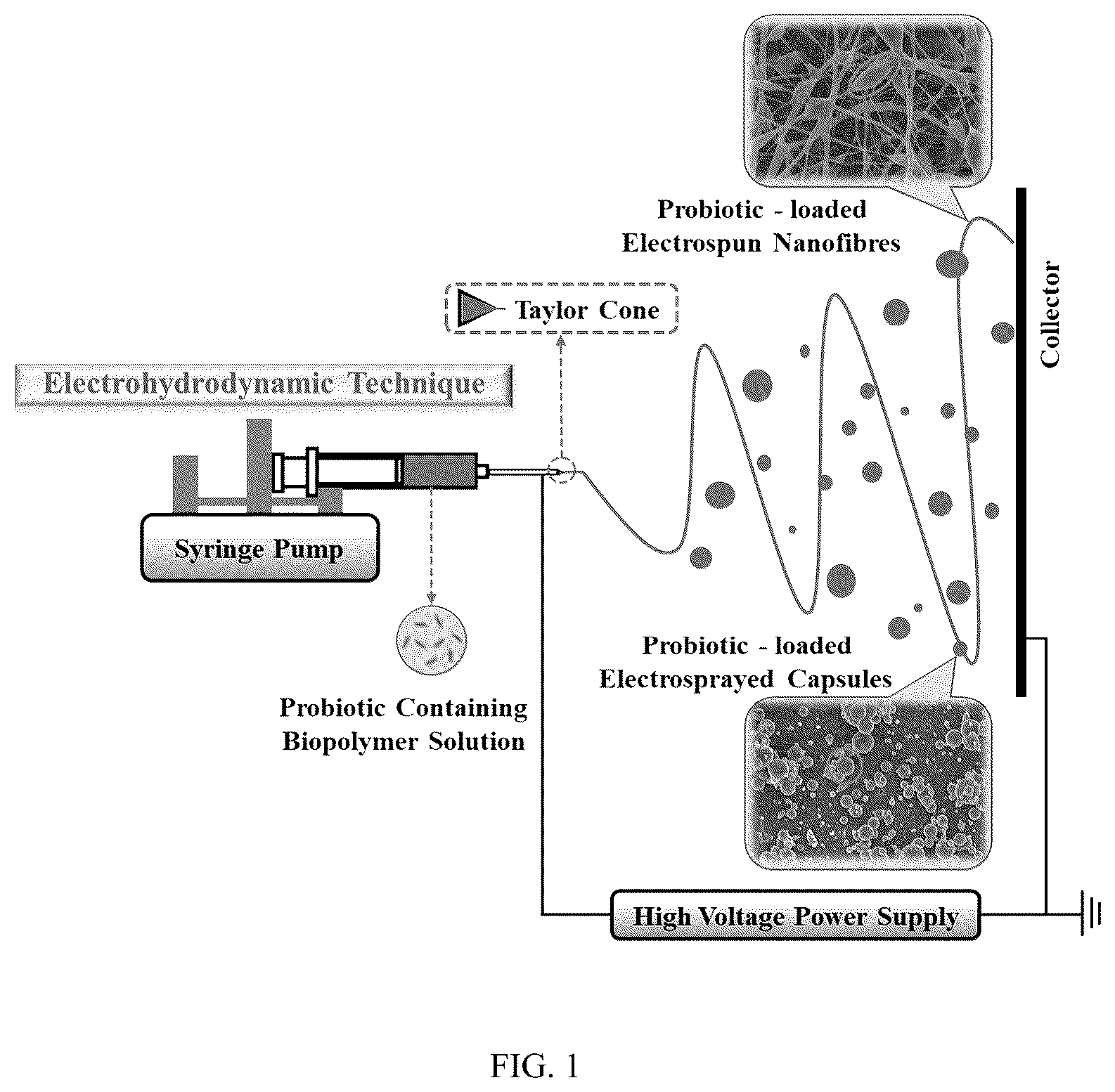 Patent US12098479 — Probiotic-encapsulating gum Arabic composite fiber/capsule, preparation method and application thereof — Figure 1