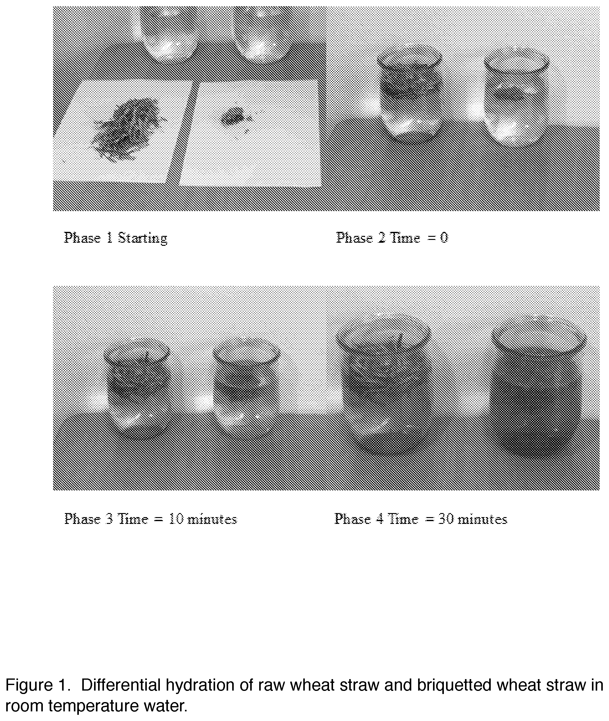 Patent US12098504 Figure 1 – Methods and devices for processing lignocellulosic biomass using mechanical pretreatment to enhance feedstock hydration properties