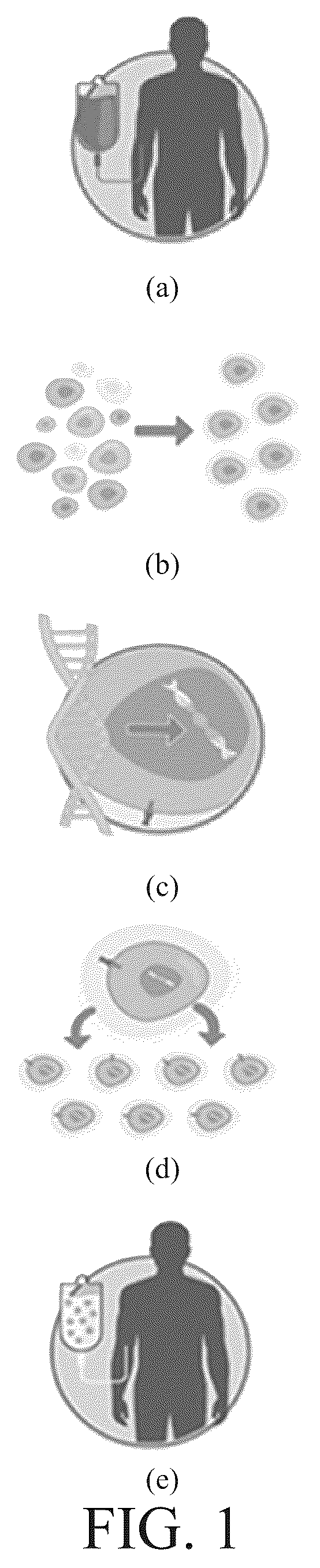 Patent US12099053 Figure 1 – Method of training AI for label-free cell viability determination and label-free cell viability determination method by trained AI